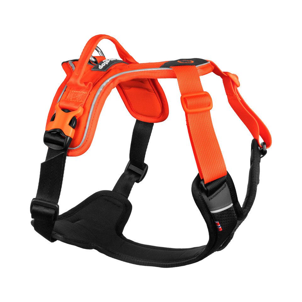 Non-stop dogwear Hunde-Geschirr Hundegeschirr Ramble Harness günstig online kaufen