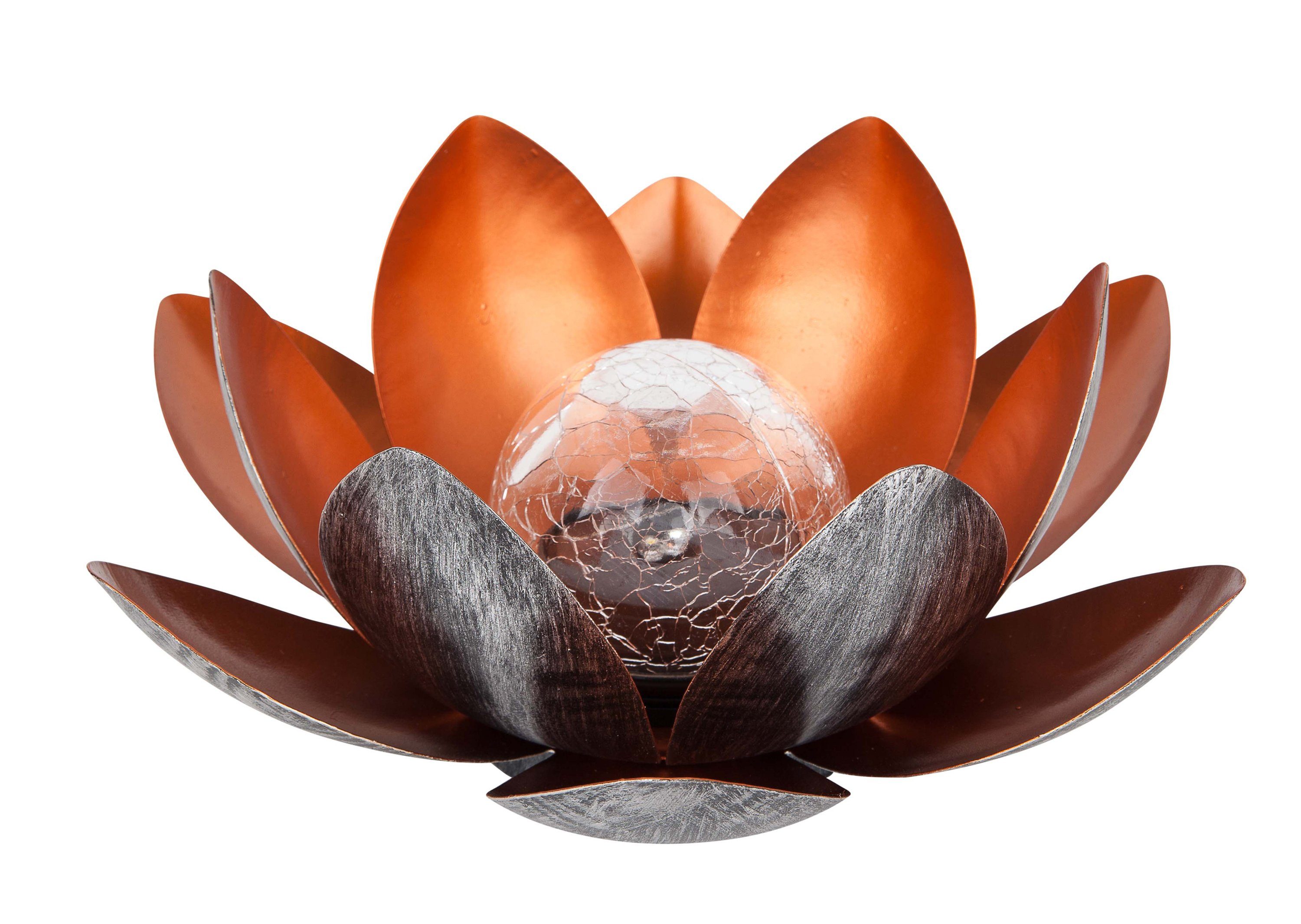 Dehner LED Solarleuchte Solarleuchte Lotus, warmweiß / kaltweiß, Ø 27.5 cm, Höhe 12 cm, Metall, Kaltweiß, Warmweiß, Kunstvolle Deko-Blüte mit Leuchteffekt