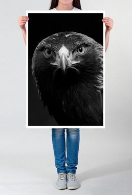 Sinus Art Poster Tierfotografie 60x90cm Poster Porträt eines Steinadlers schwarz weiß
