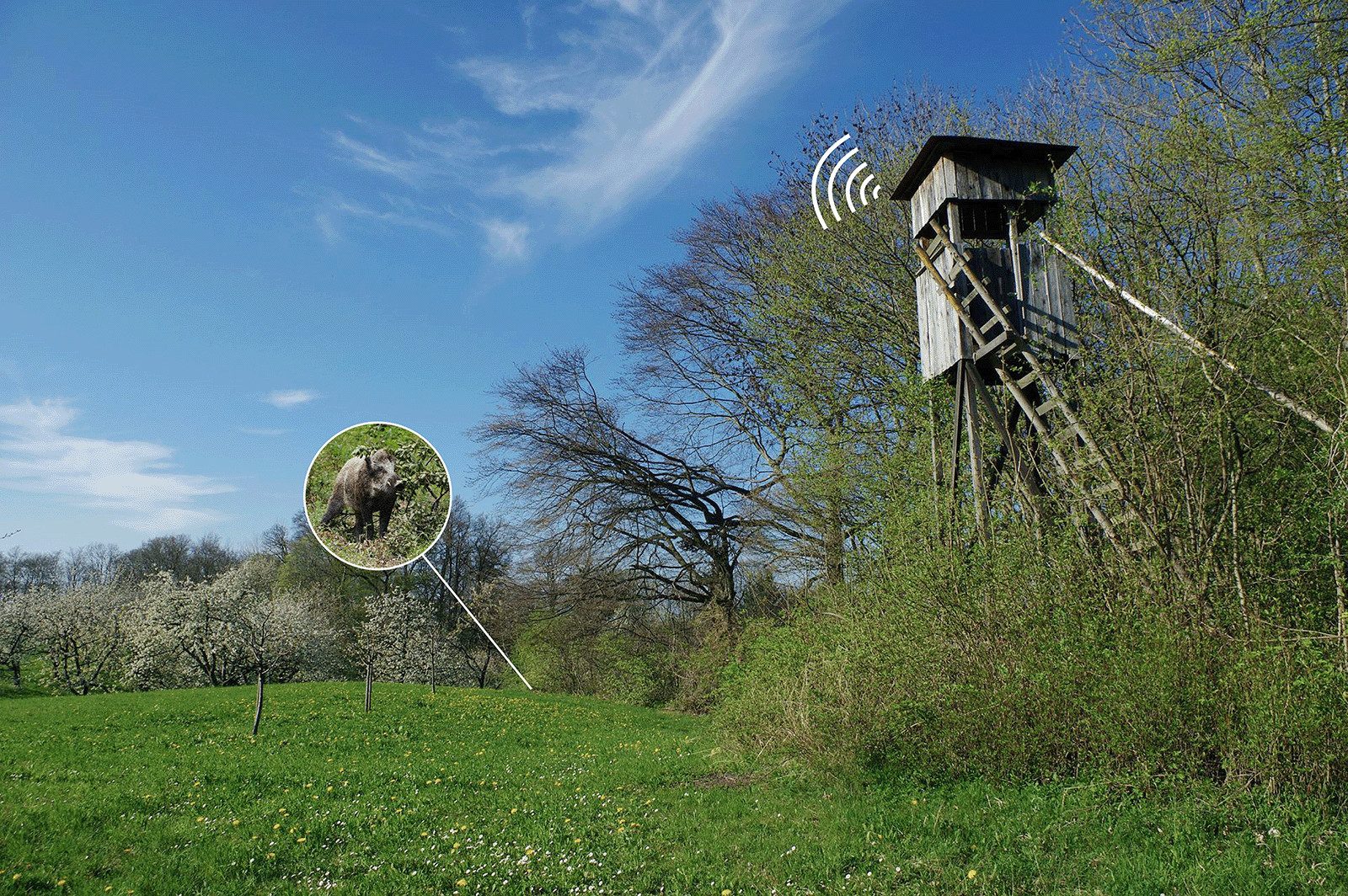 Berger & Schröter Wildkamera 4K/ Melder + Empfänger (Revier, Wildbeobachtung, Jagd, für bis zu 6 Wildkameras mit Ton- oder LED-Meldung) – Bild 4 von 4