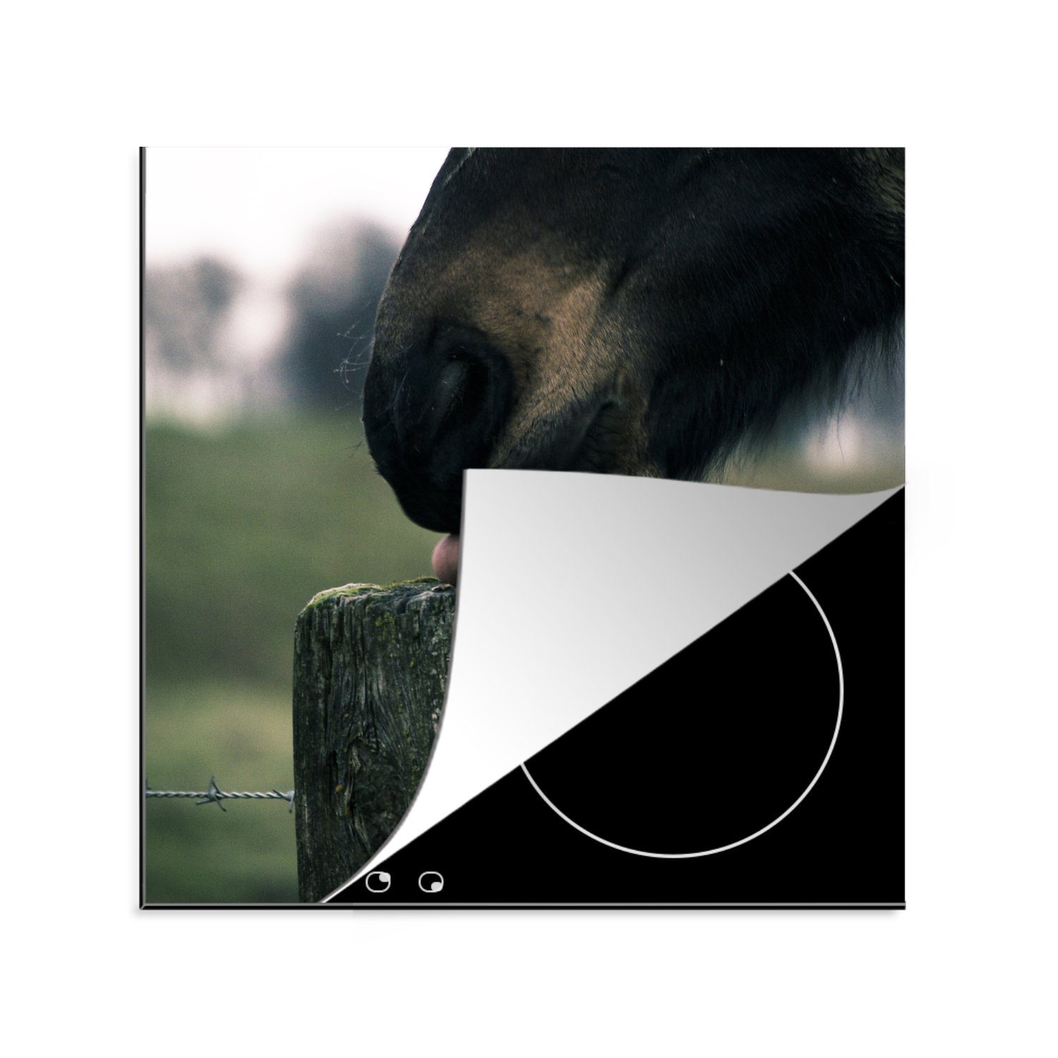 MuchoWow Herdblende-/Abdeckplatte Pferd - Stange - Zunge, Vinyl, (1 tlg), 78x78 cm, Ceranfeldabdeckung, Arbeitsplatte für küche