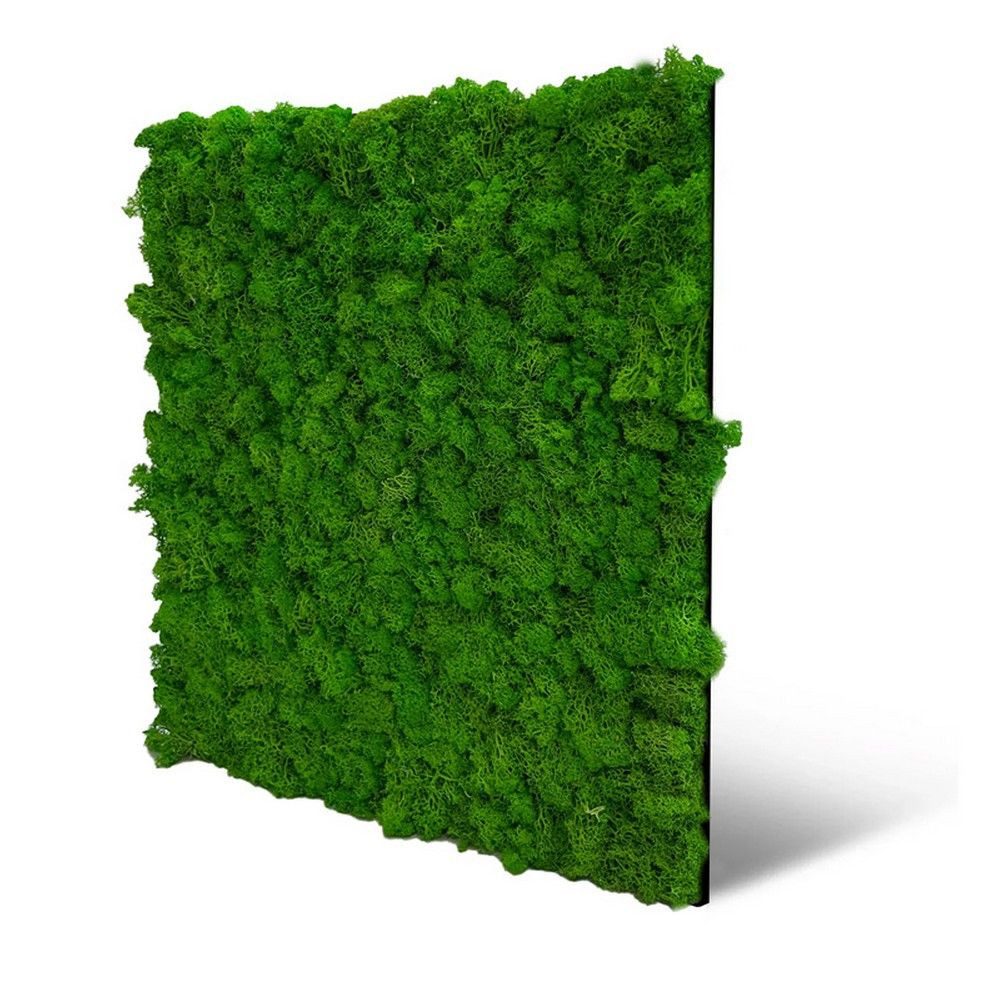 JANGAL Wandpaneel Wandpaneel Jangal Modular Wall 11101 Rich Green Moos 52 x 52 cm