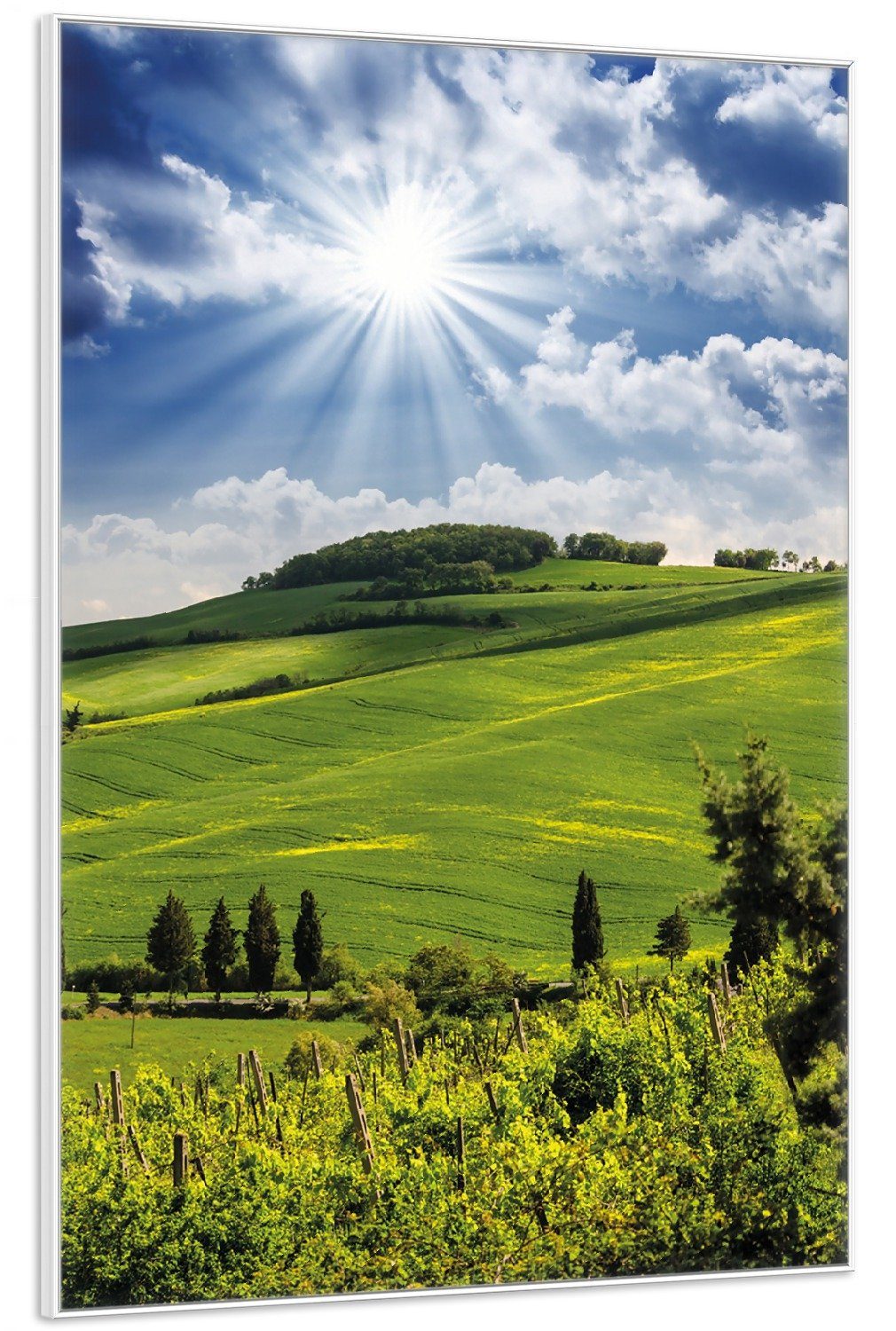 Wallario Poster, Strahlender Sonnenschein, in verschiedenen günstig online kaufen