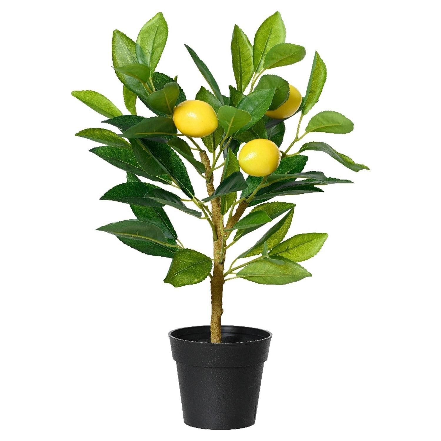 Kunstbaum CITRON, Gelb, Grün, Kunststoff, Naturgetreu, Zitronenbaum, Kaemin günstig online kaufen