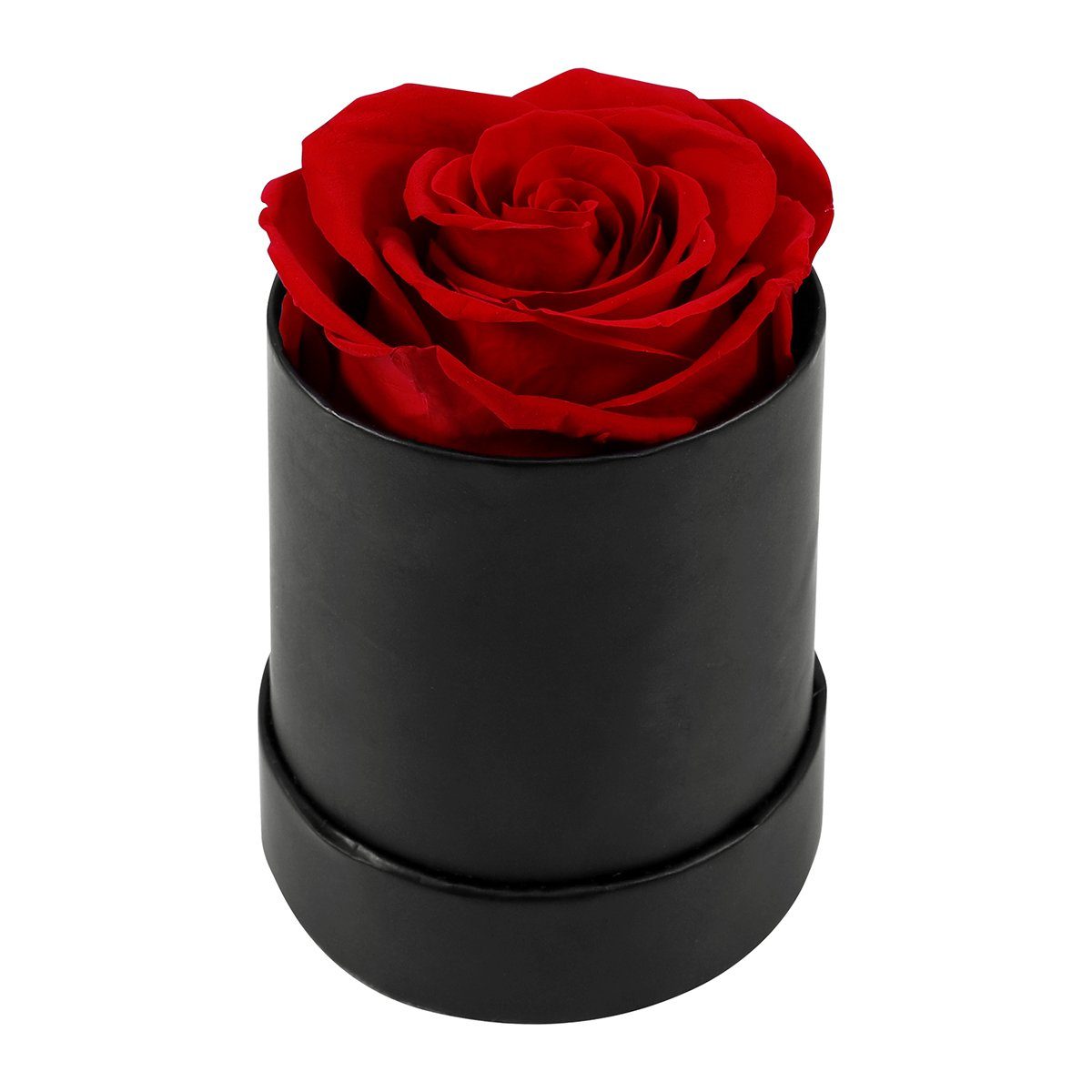 Kunstblume Konservierte Rosen, Romantische Geschenke zum Valentinstag, Sunicol, Höhe 8 cm