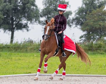 ARBO-INOX® Pferdebandage Bandagen Fleecebandagen Weihnachtsbandagen 4-Set rot (Set, 4 er Set), 32 cm Lang