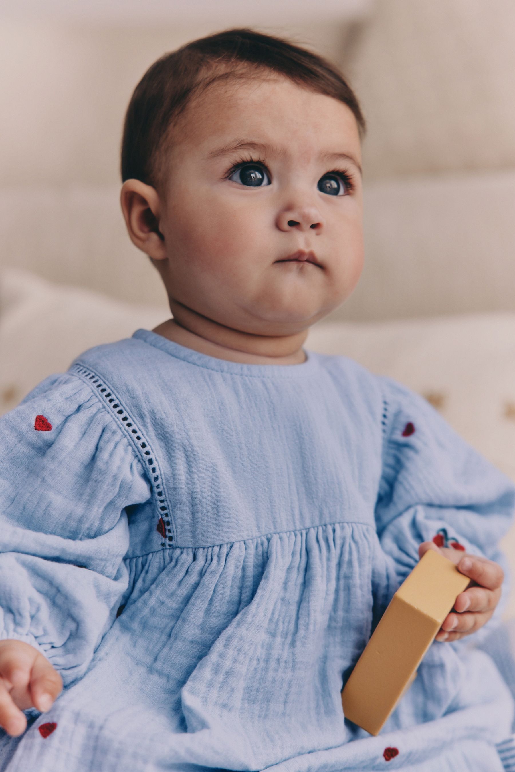 Next Blusenkleid Langärmeliges Baby Kleid mit Stickarbeiten (1-tlg)