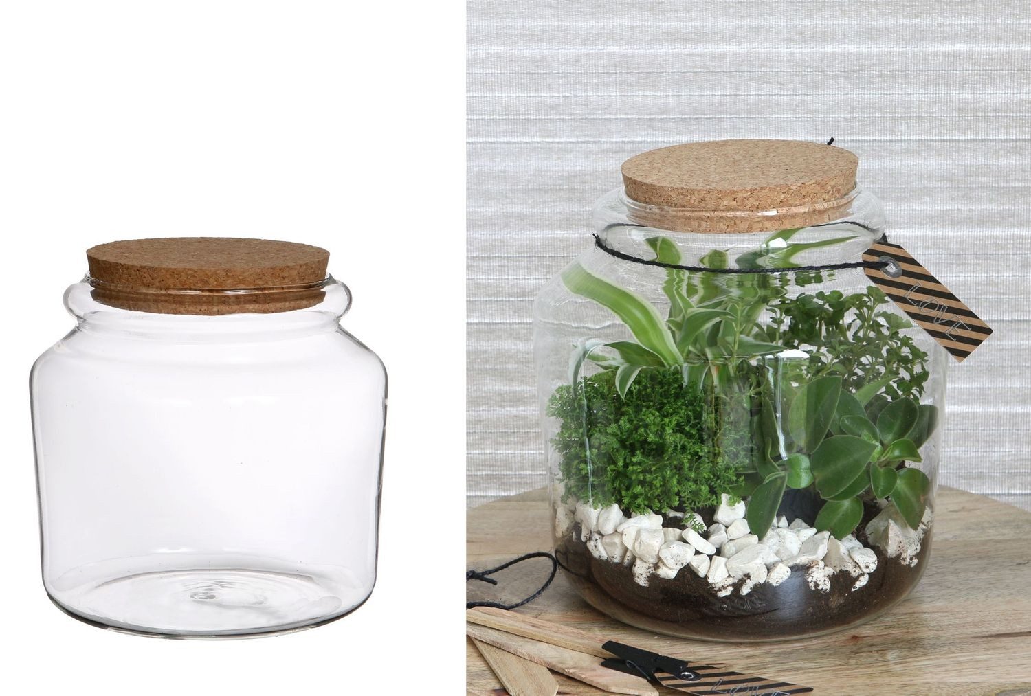 NaDeco Dekovase Pflanzen Terrarium aus Glas, mit Korken Größe Ø15 h.14 cm