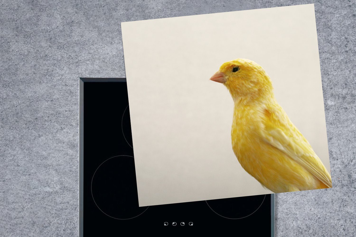 78x78 küche eines cm, Hintergrund, weißem Vinyl, mit (1 Herdblende-/Abdeckplatte Nahaufnahme gelben für MuchoWow Kanarienvogels tlg), Arbeitsplatte Ceranfeldabdeckung,