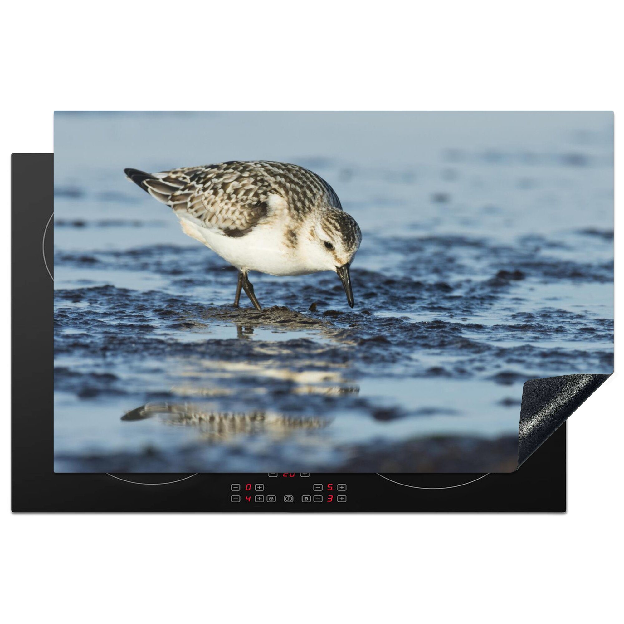 Ceranfeldabdeckung Wasser, die Formschöner für tlg), 81x52 im Vinyl, Herdblende-/Abdeckplatte (1 Sanderling küche, cm, Schutz MuchoWow Induktionskochfeld