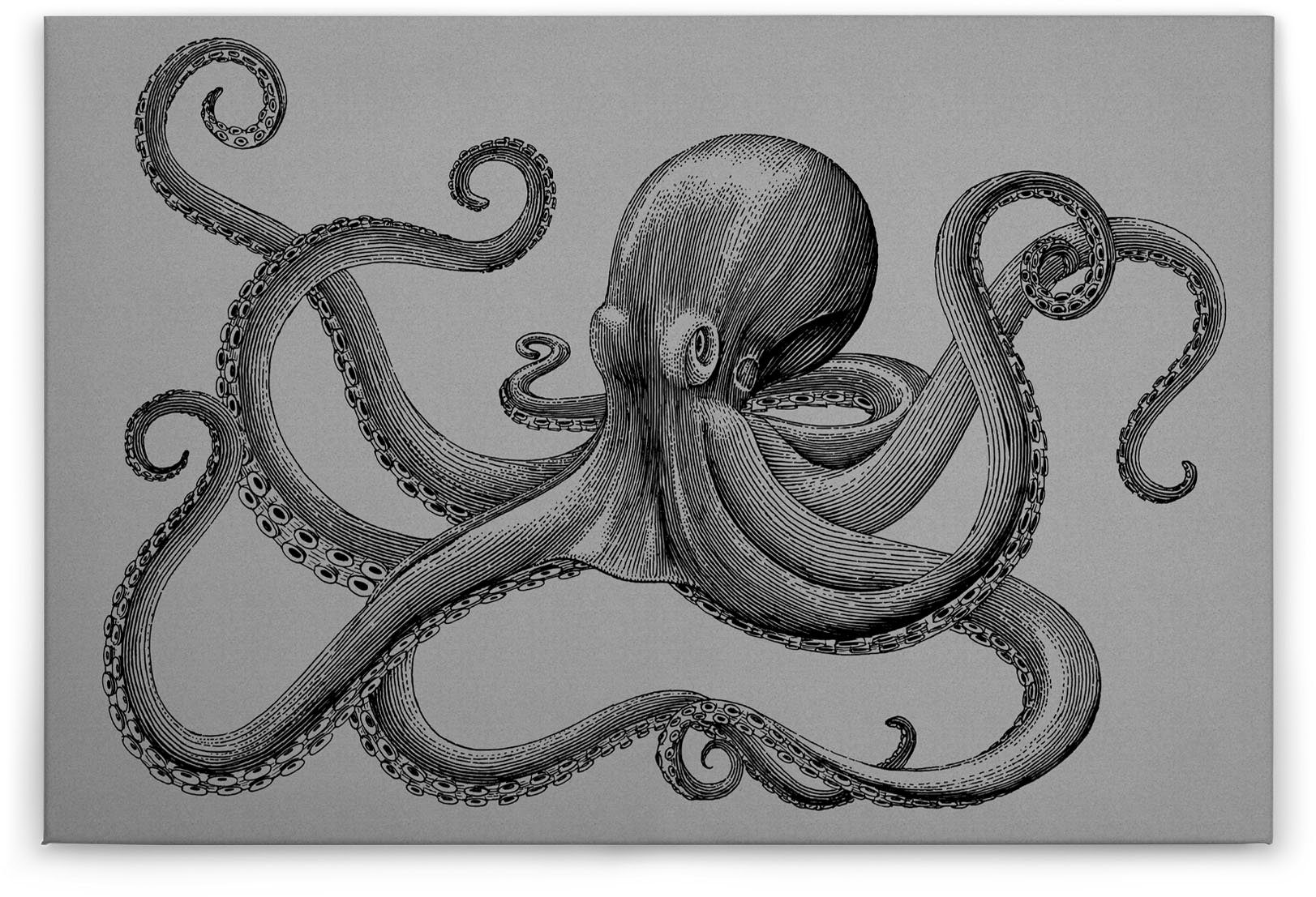 A.S. Création Leinwandbild schwarz Bild Krake Octopus Keilrahmen grau, St), (1 Tiere jules