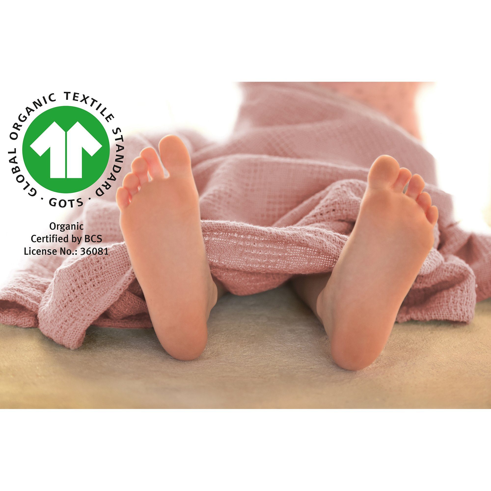 Handtuch, Lil Planet & Decke Waschlappen, Neugeborenen-Geschenkset roba® rosa/mauve Schmusetuch