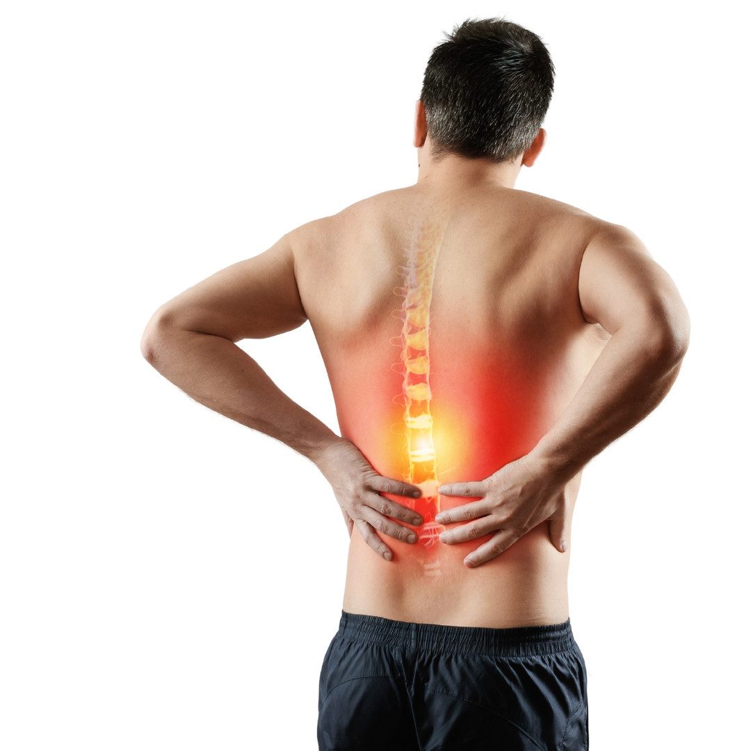 Medosan Bauch- und Rückenstützgürtel Rückenstütze mit Geleinlage, Einheitsgröße