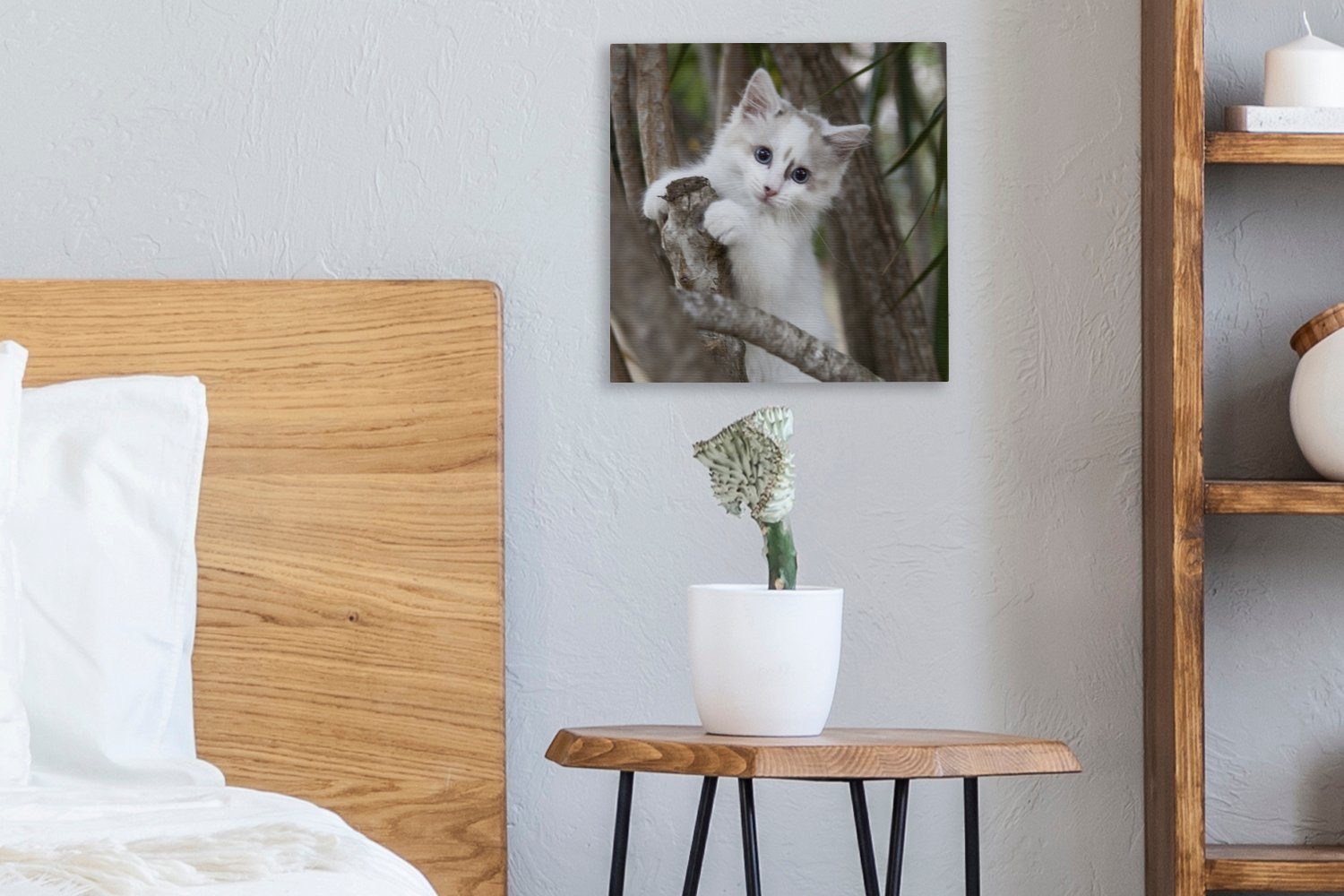 Schlafzimmer Ragdoll-Kätzchen Weißes einem auf Bilder für Ast, (1 Wohnzimmer OneMillionCanvasses® Leinwandbild Leinwand St),