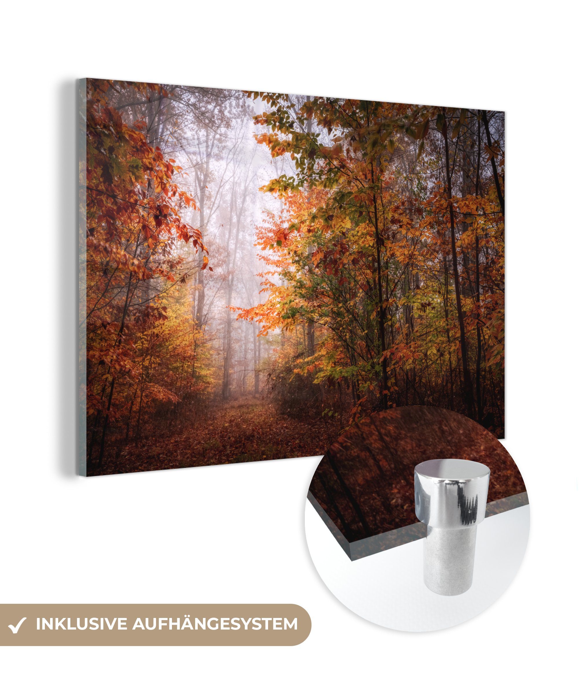 New MuchoWow Wohnzimmer in von Wäldern & St), Jersey, Acrylglasbilder Herbst Acrylglasbild den Schlafzimmer (1