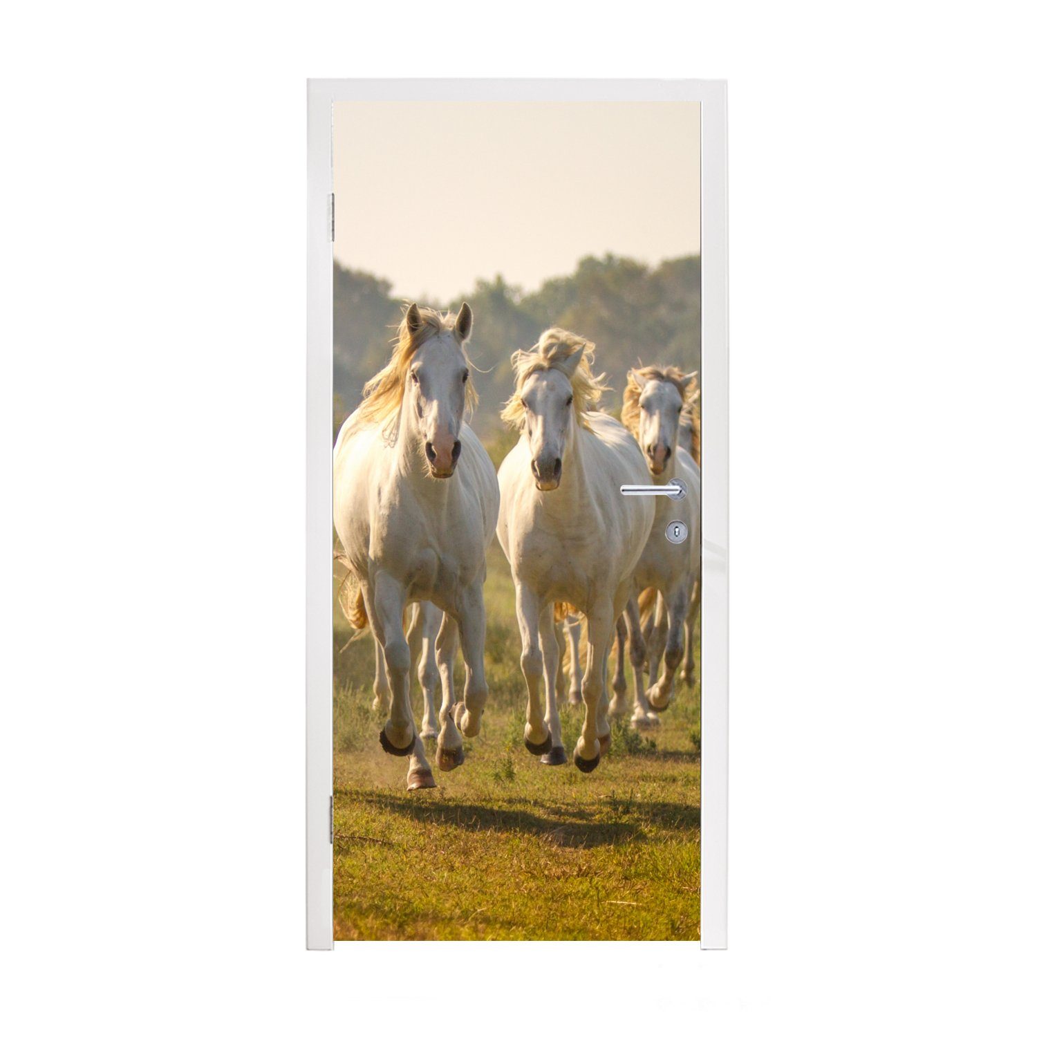 (1 St), bedruckt, Pferde, Matt, für 75x205 Türtapete cm MuchoWow Galoppierende Tür, weiße Türaufkleber, Fototapete