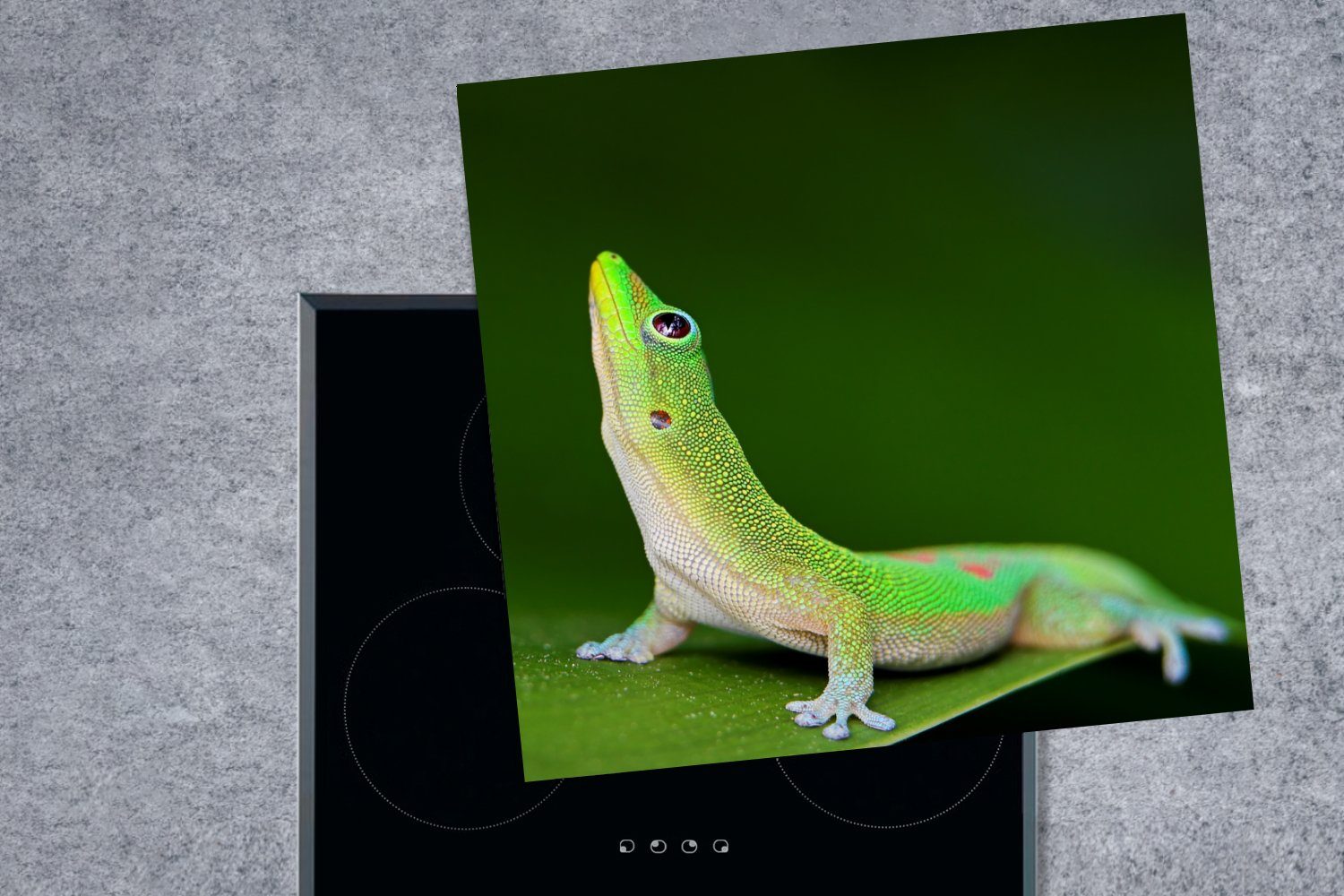 Gecko, für Ceranfeldabdeckung, cm, küche Arbeitsplatte grüner Nach tlg), oben 78x78 Herdblende-/Abdeckplatte Vinyl, (1 MuchoWow blickender