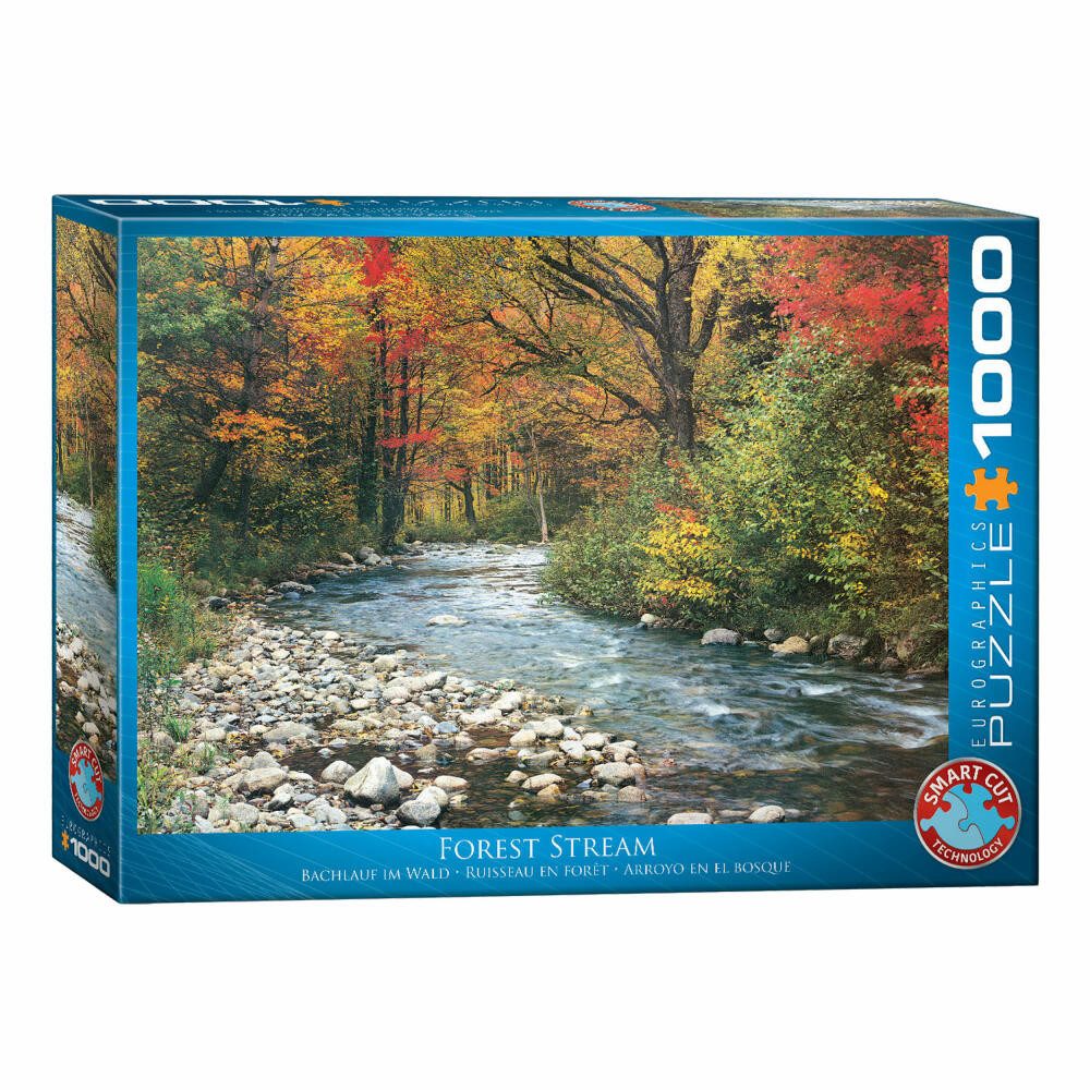 EUROGRAPHICS Puzzle Bachlauf im Wald, 1000 Puzzleteile