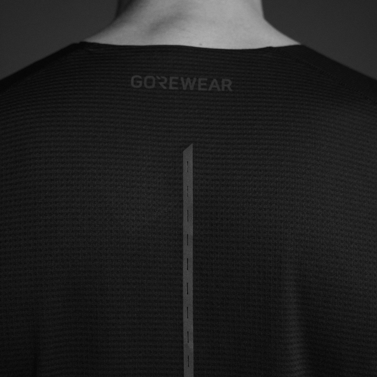 GORE® Wear Laufjacke Gore Wear Contest 2.0 Tee Herren Lab Graphite