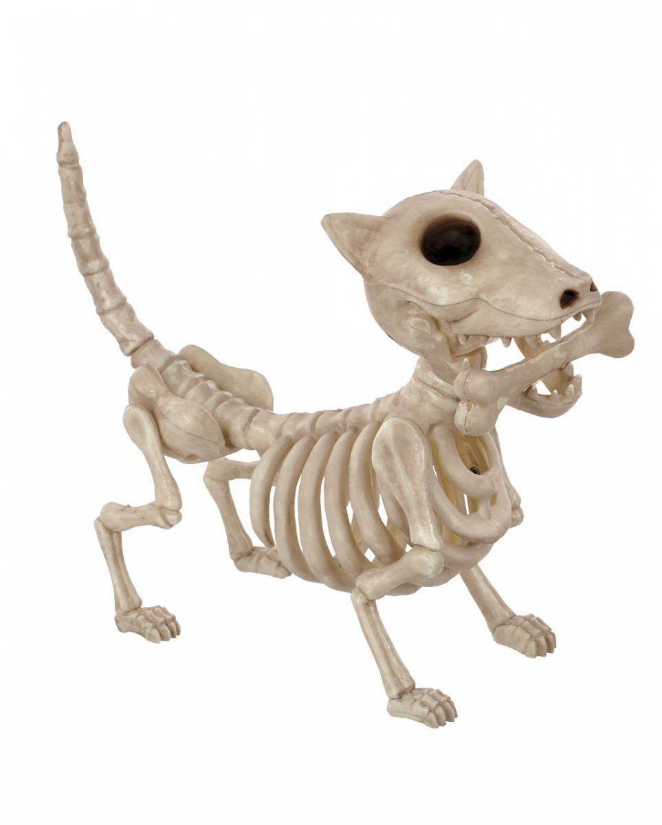 Dekoobjekt Skelett Hund mit Knochen im Maul 27 cm