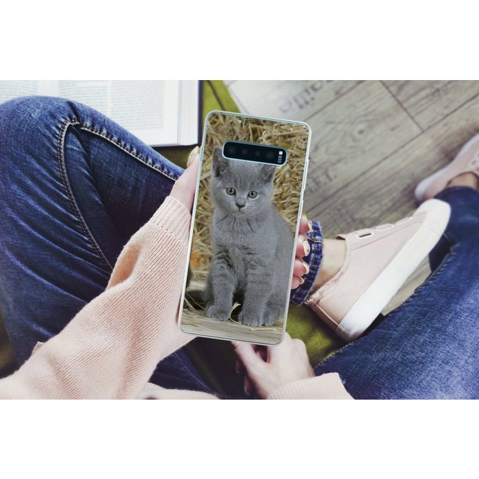 MuchoWow Handyhülle Zwei Britisch-Kurzhaar-Kätzchen mit Heu im Hintergrund Phone Case Handyhülle Samsung Galaxy S10+ Silikon Schutzhülle FN11465