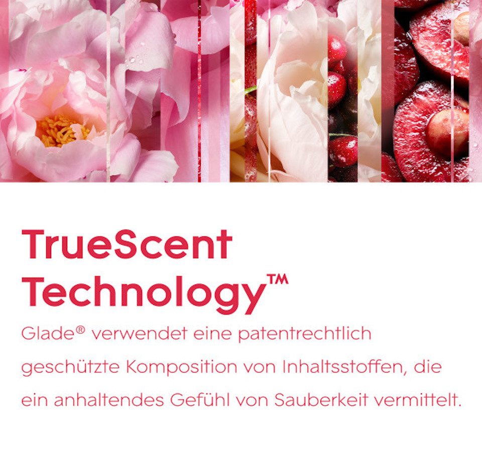 Glade Raumduft Automatic Spray Nachfüller Relaxing Zen, 269 ml