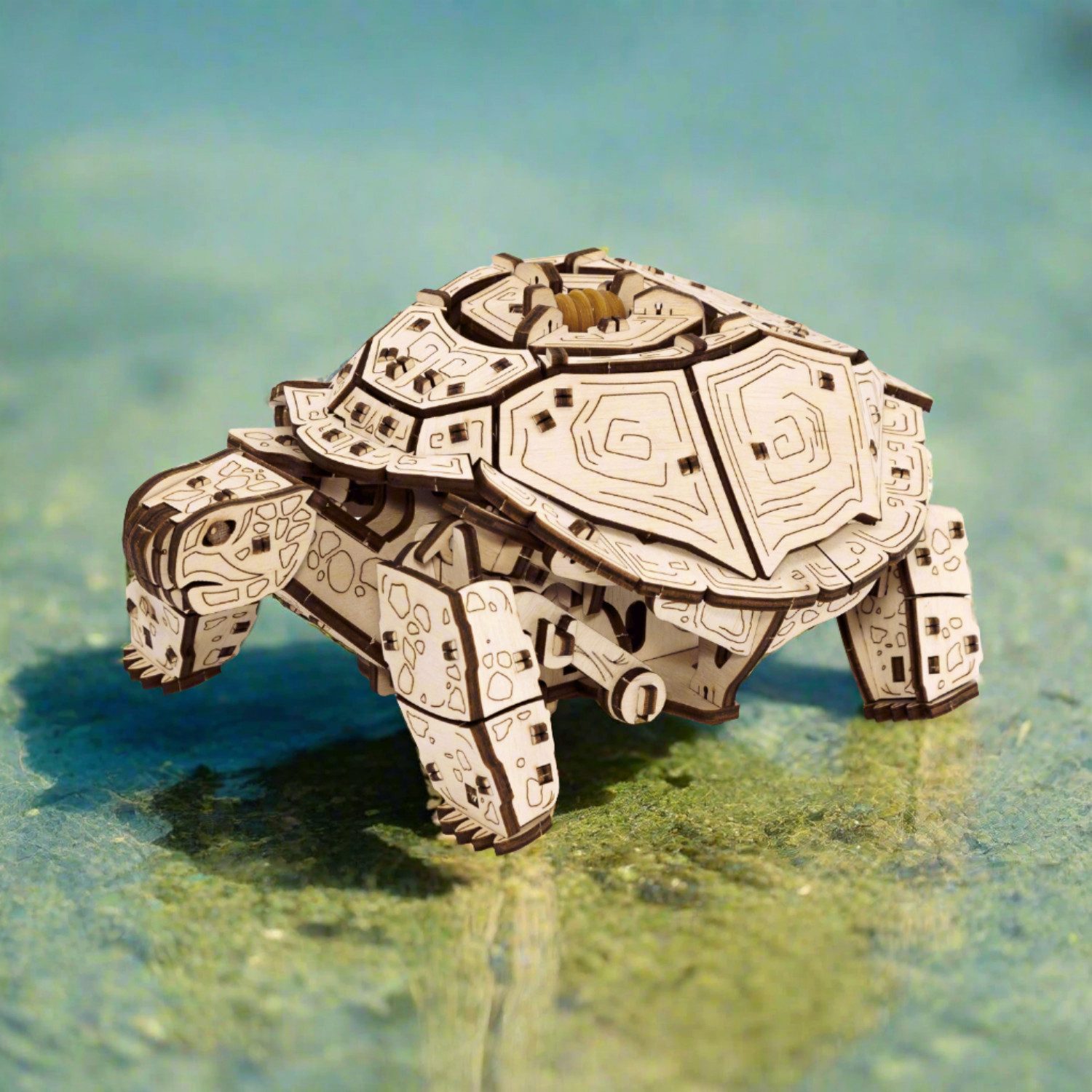 Eco Wood Art Modellbausatz Eco-Wood-Art Mechanische Schildkröte Turtle Mech günstig online kaufen