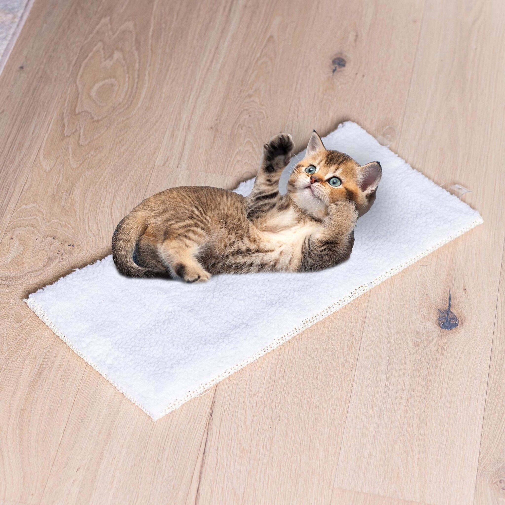 Haushalt International Katzen-Kletterwand