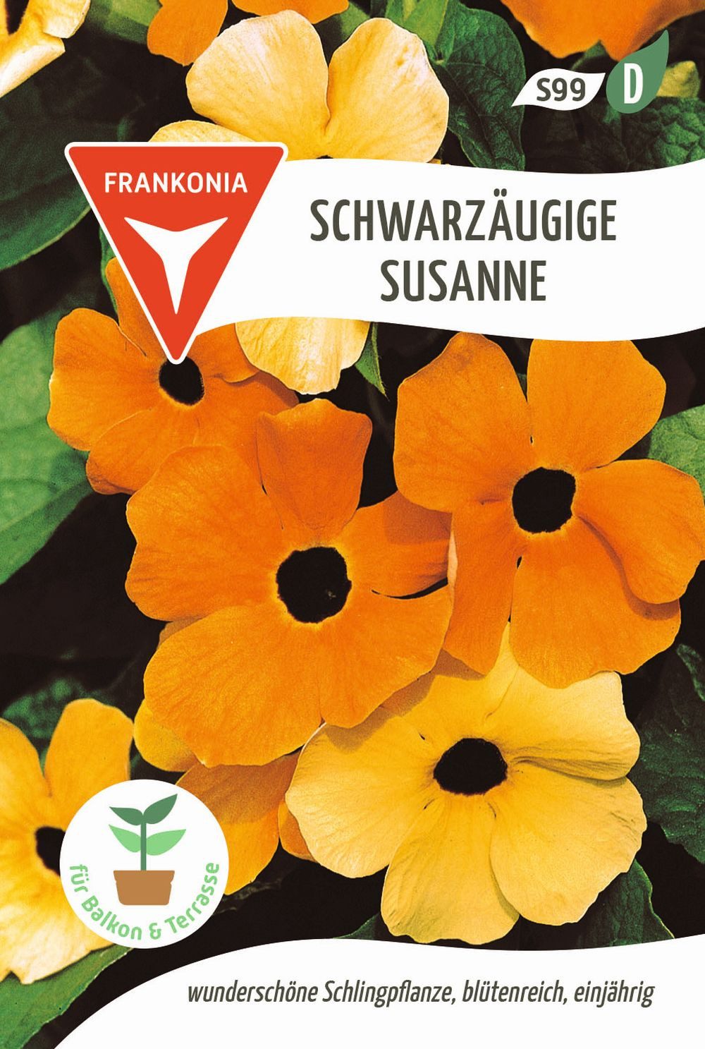 FRANKONIA Blumensamen Schwarzäugige Susanne - Kletterpflanzen-Samen Saatgut Samen, Thunbergia alata