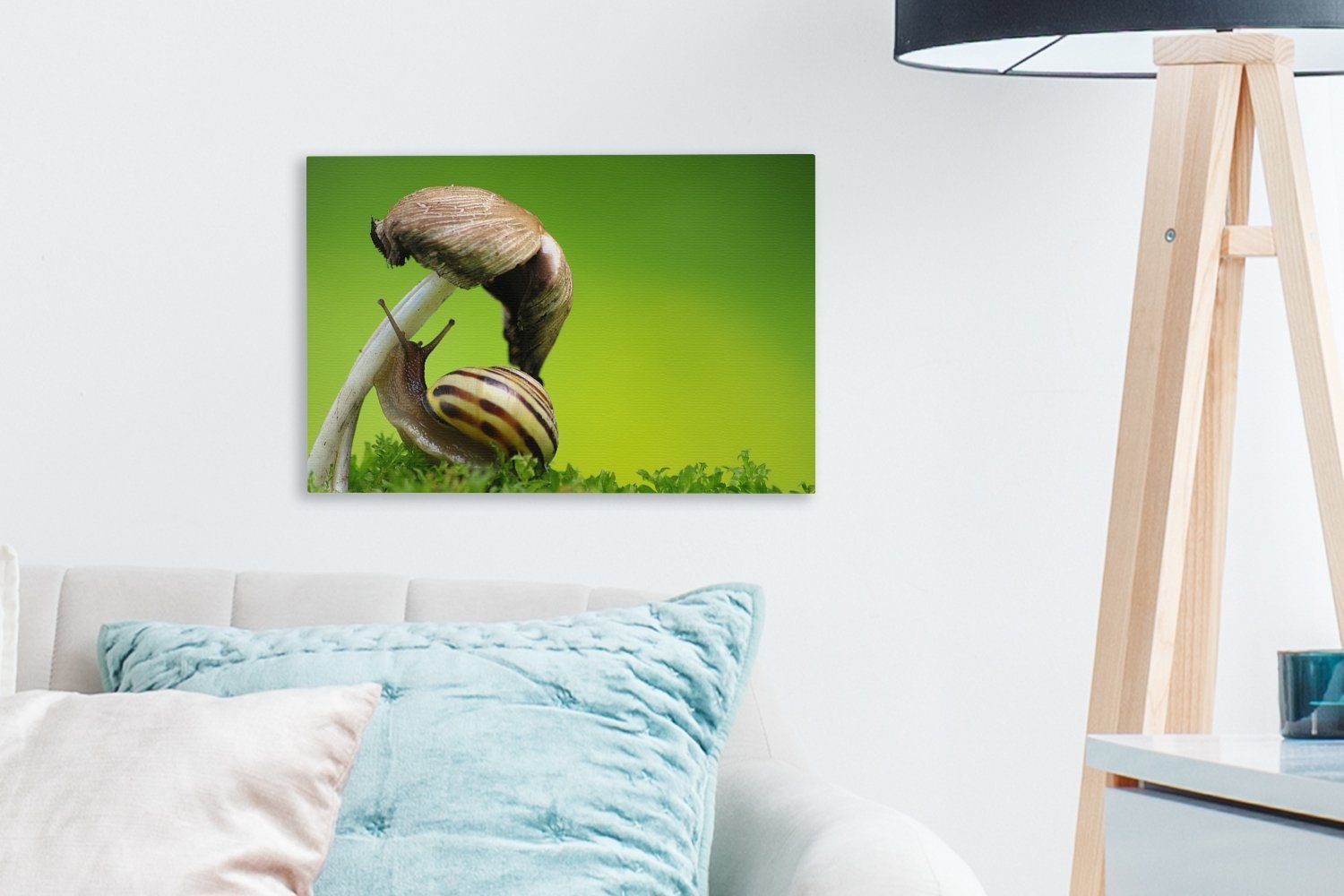 Aufhängefertig, (1 klettert Schnecke Pilz, Wanddeko, Wandbild 30x20 cm OneMillionCanvasses® auf Leinwandbild St), Leinwandbilder,
