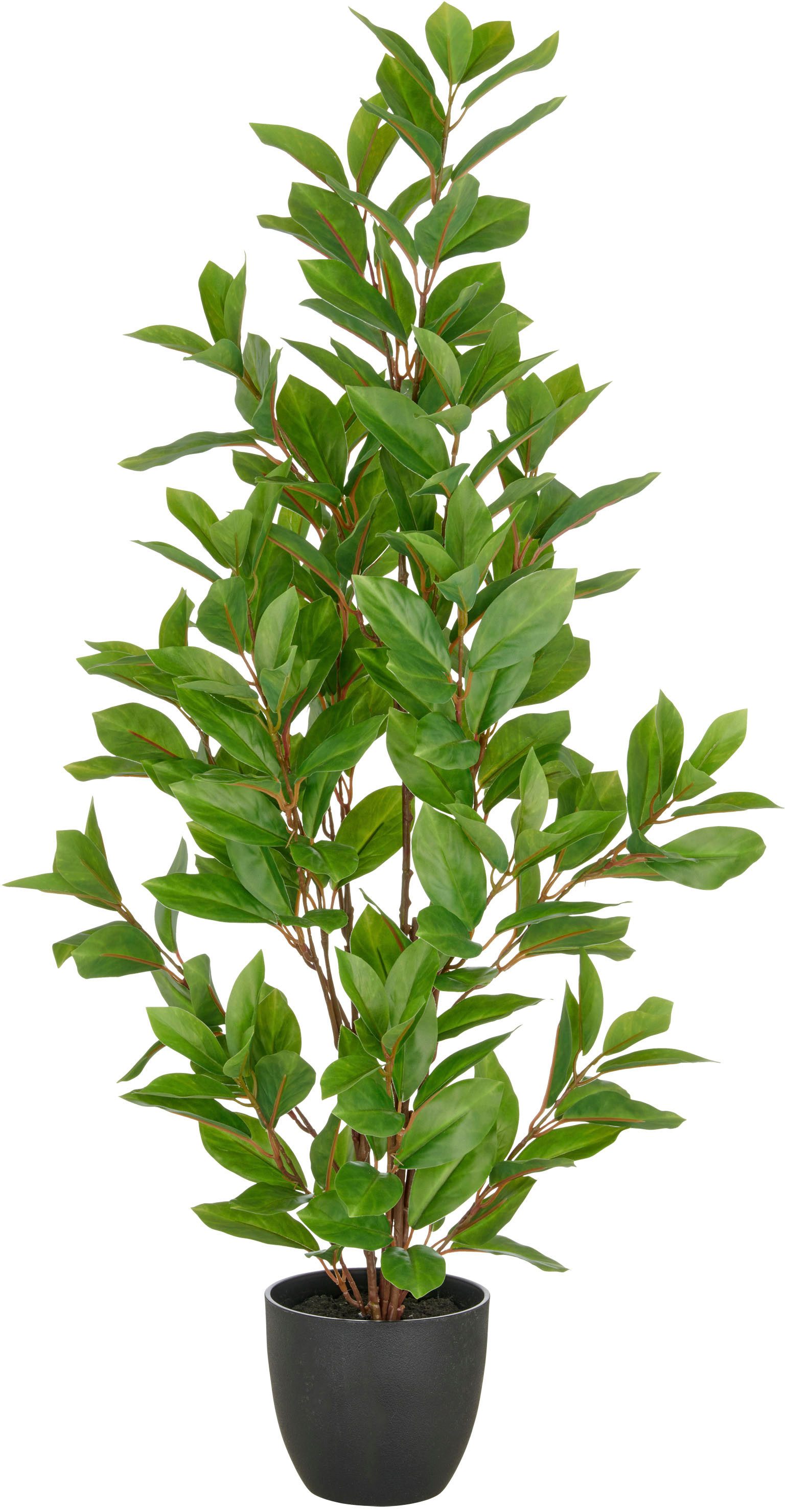 Kunstpflanze Epipremnum, Creativ green, Höhe 90 cm, mit schönem Blattwerk günstig online kaufen