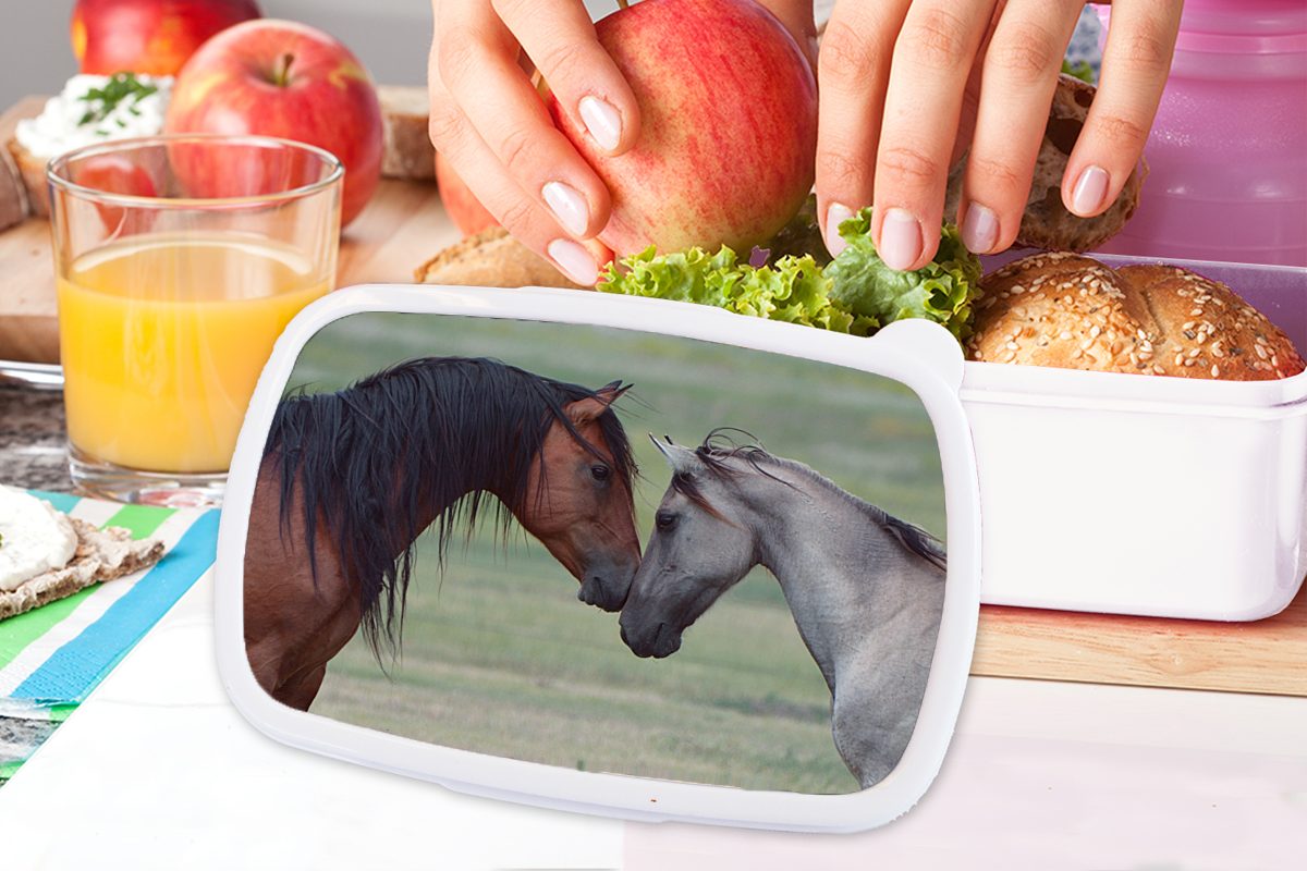 Mustang-Pferde für legen und Jungs für Erwachsene, und MuchoWow Lunchbox aneinander, Köpfe Kunststoff, (2-tlg), Brotdose, weiß Brotbox wilde ihre Zwei Kinder Mädchen