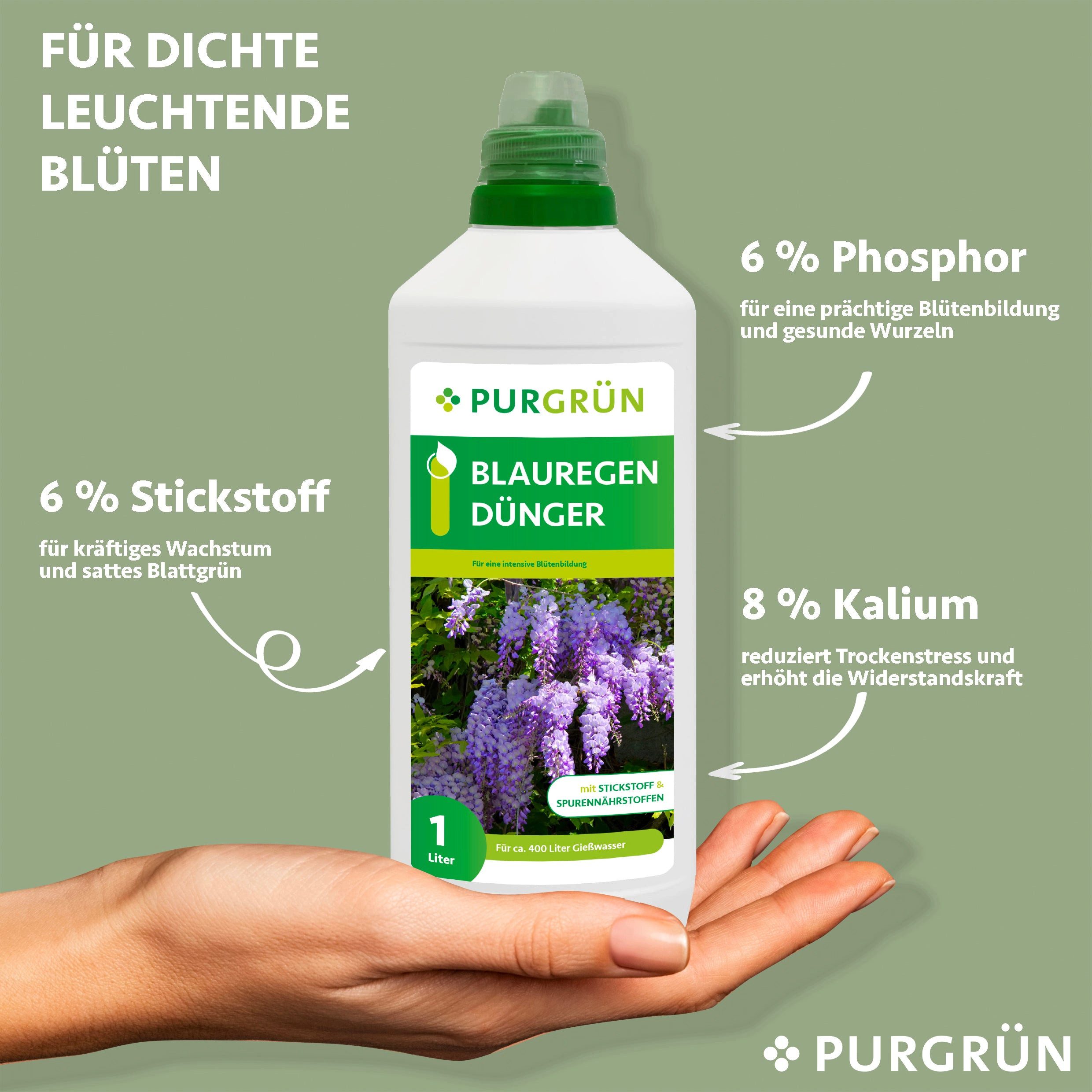 Purgrün Blumendünger Purgrün Blauregen Dünger, NPK günstig online kaufen