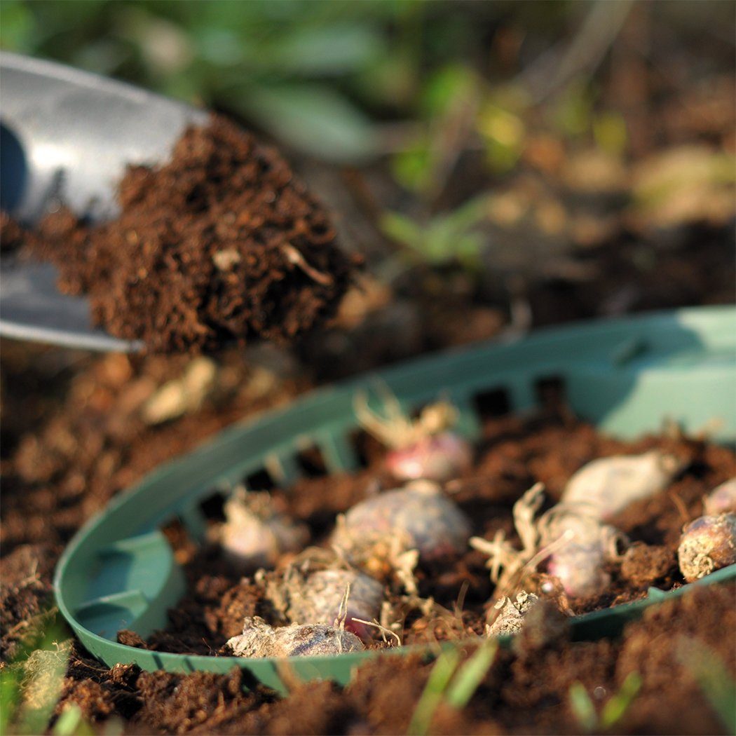 KAGM Pflanzschale Zwiebelkorb Blumenschale Blumenzwiebel Schale günstig online kaufen