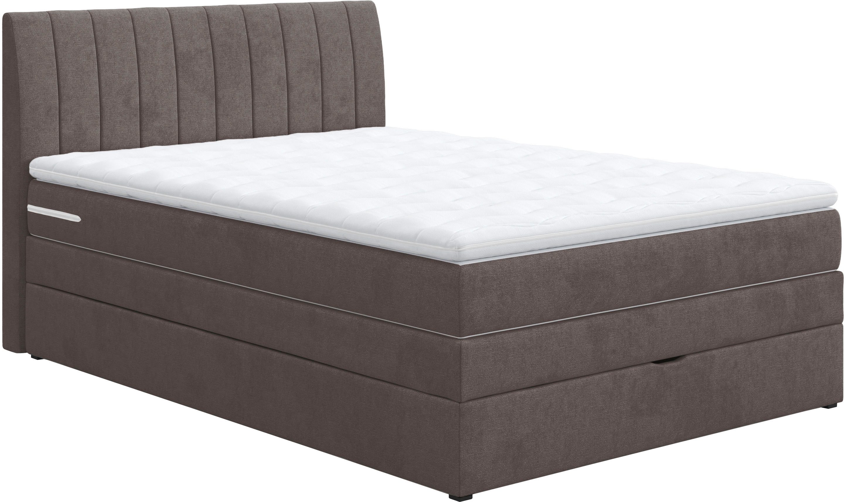 COTTA Boxspringbett Shark inkl. Bettkasten und Topper, erhältlich in den Breiten 140x200cm, 160x200cm und 180x200cm