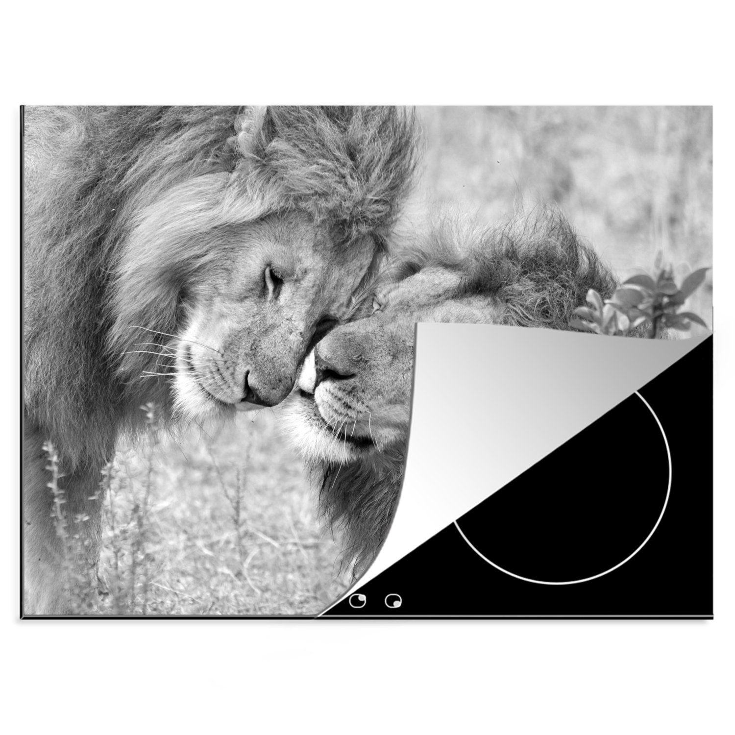 schwarz (1 Mobile 70x52 Löwenbrüder Herdblende-/Abdeckplatte Vinyl, weiß, - tlg), cm, Arbeitsfläche und nutzbar, Ceranfeldabdeckung MuchoWow Zwei