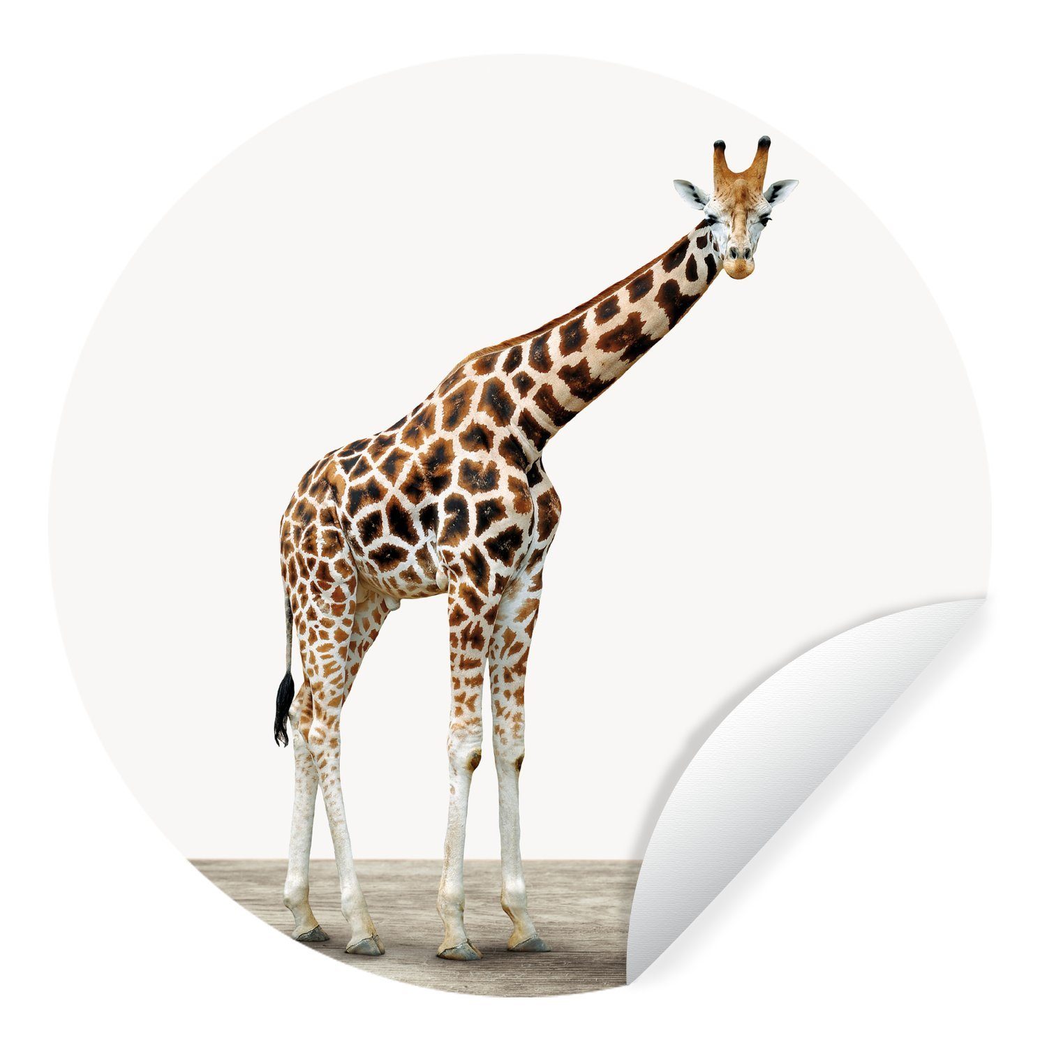 MuchoWow Wandsticker Tier - Giraffe - Weiß (1 St), Tapetenkreis für Kinderzimmer, Tapetenaufkleber, Rund, Wohnzimmer