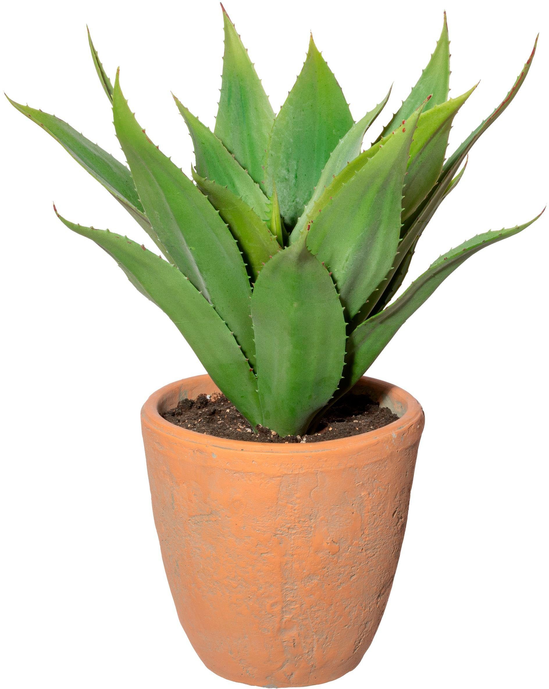 Künstliche Zimmerpflanze Agave im Terracottatopf