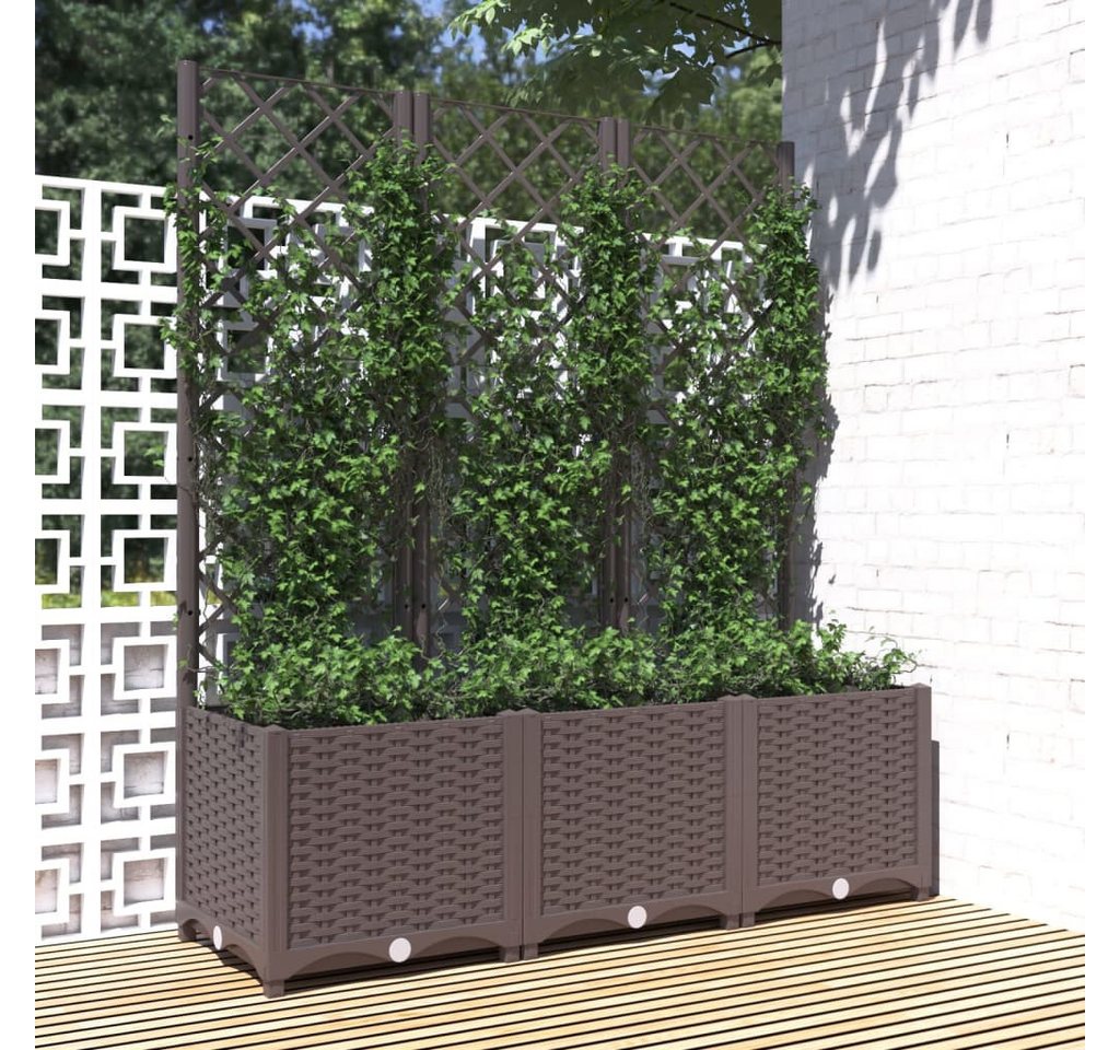 Thumbnail - vidaXL Blumenkasten Pflanzkübel mit Rankgitter Braun 120x40x136 cm Kunststoff Polypropylen