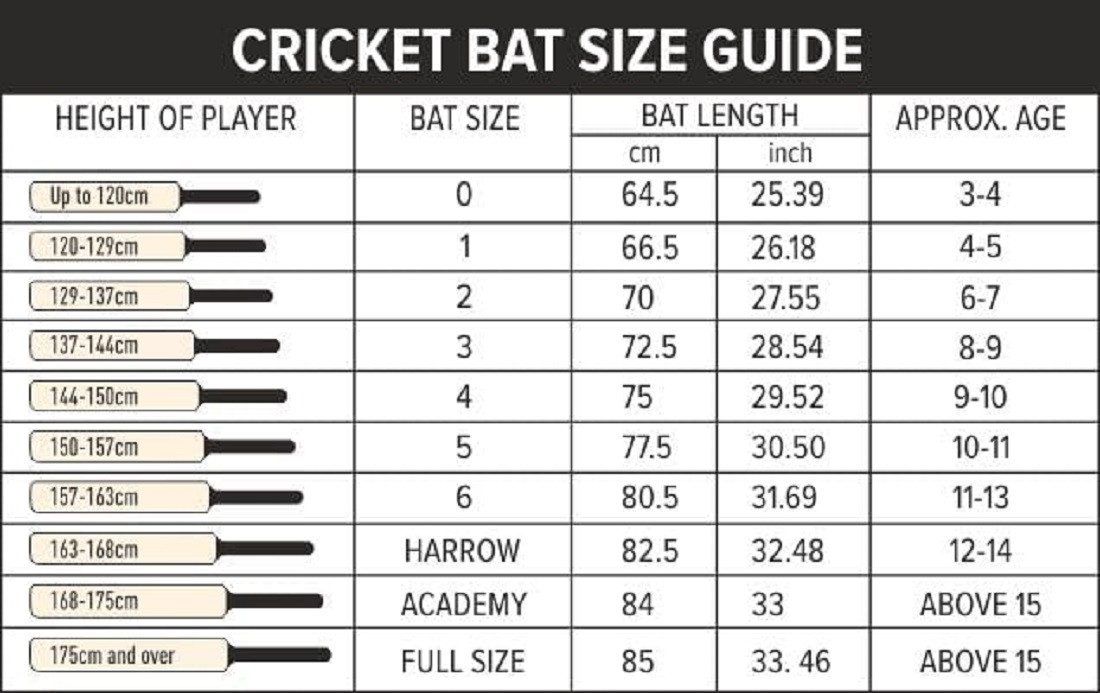 DSC Badmintonschläger Drake Cricketschläger für Herren, Kaschmir-Weide, Kostenlose Hülle, (1 Cricketschläger, Leicht, Kostenlose Hülle, Spielbereit), HOCHWERTIGE KONSTRUKTION