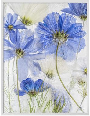 Wall-Art Poster Blue Frozen Winter Blüten, Schriftzug (1 St), Poster ohne Bilderrahmen