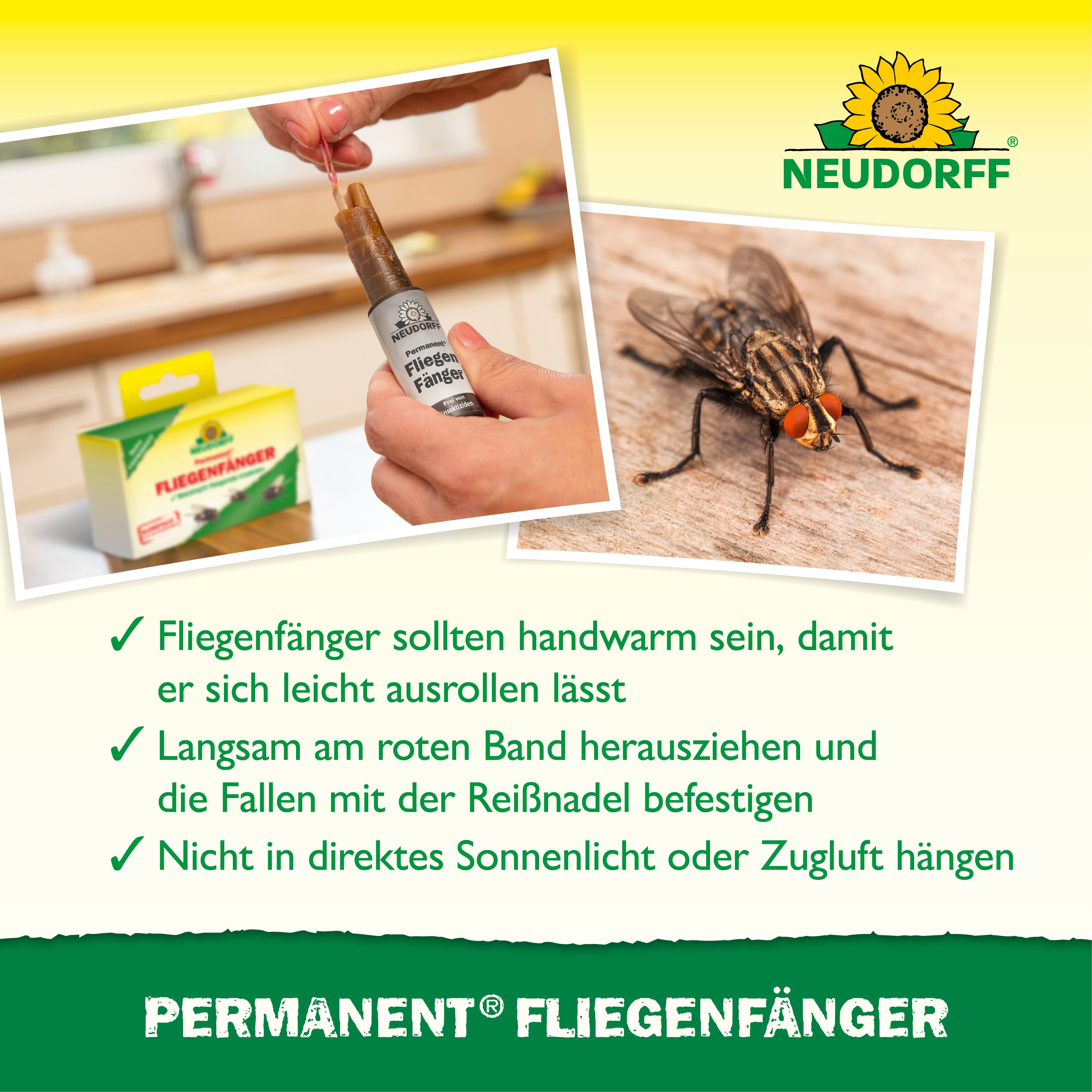 Neudorff Insektenfalle Permanent FliegenFänger 4 Stk., Ausrollbare Leimfläche mit integriertem Reißnagel zur Befestigung – Bild 4 von 5