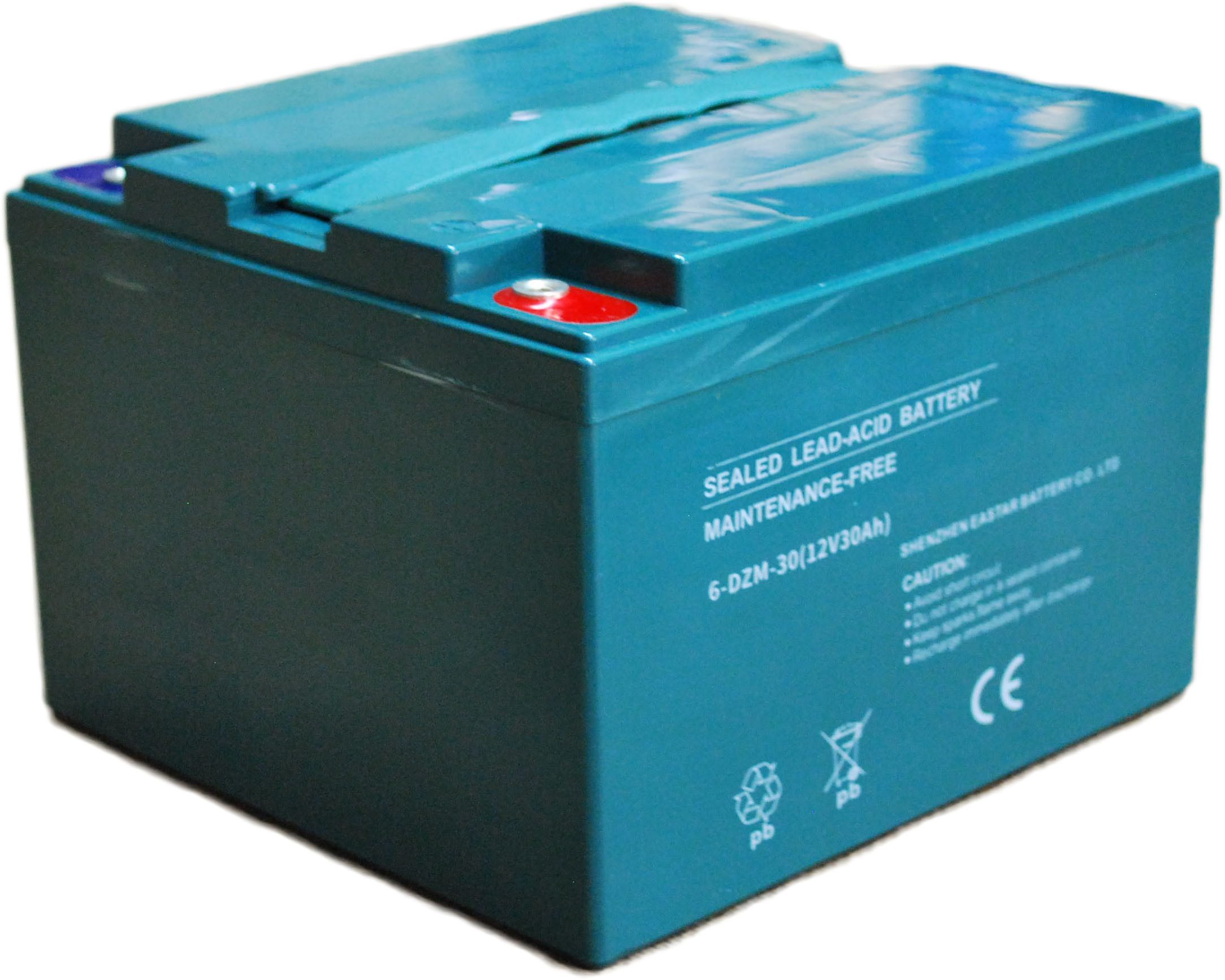 Electro-Fun Akku 6-DZM-30 12V 30Ah Bleiakku 12 Volt 30 Ah Aufladbar Akku