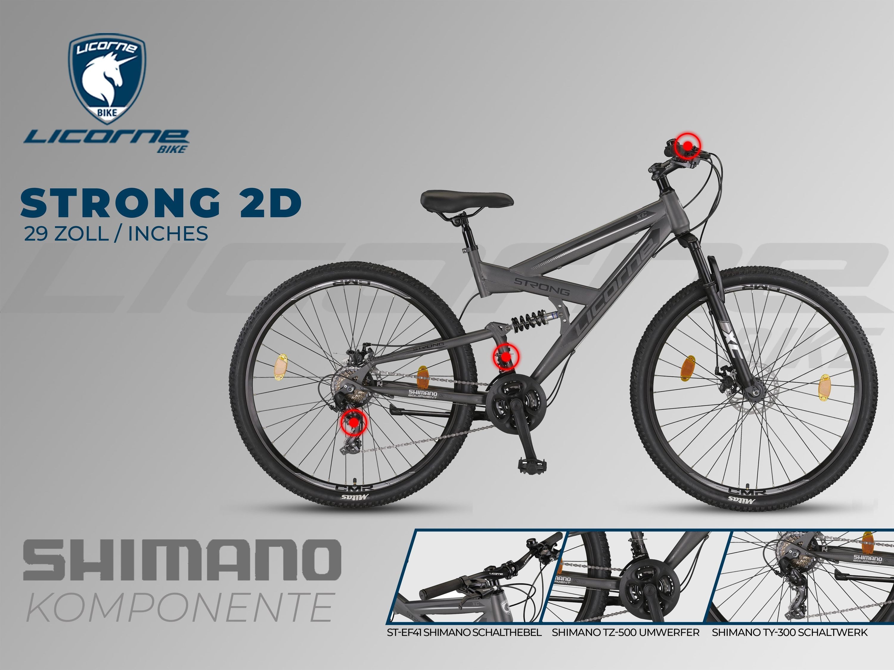 Licorne Bike Mountainbike Strong D