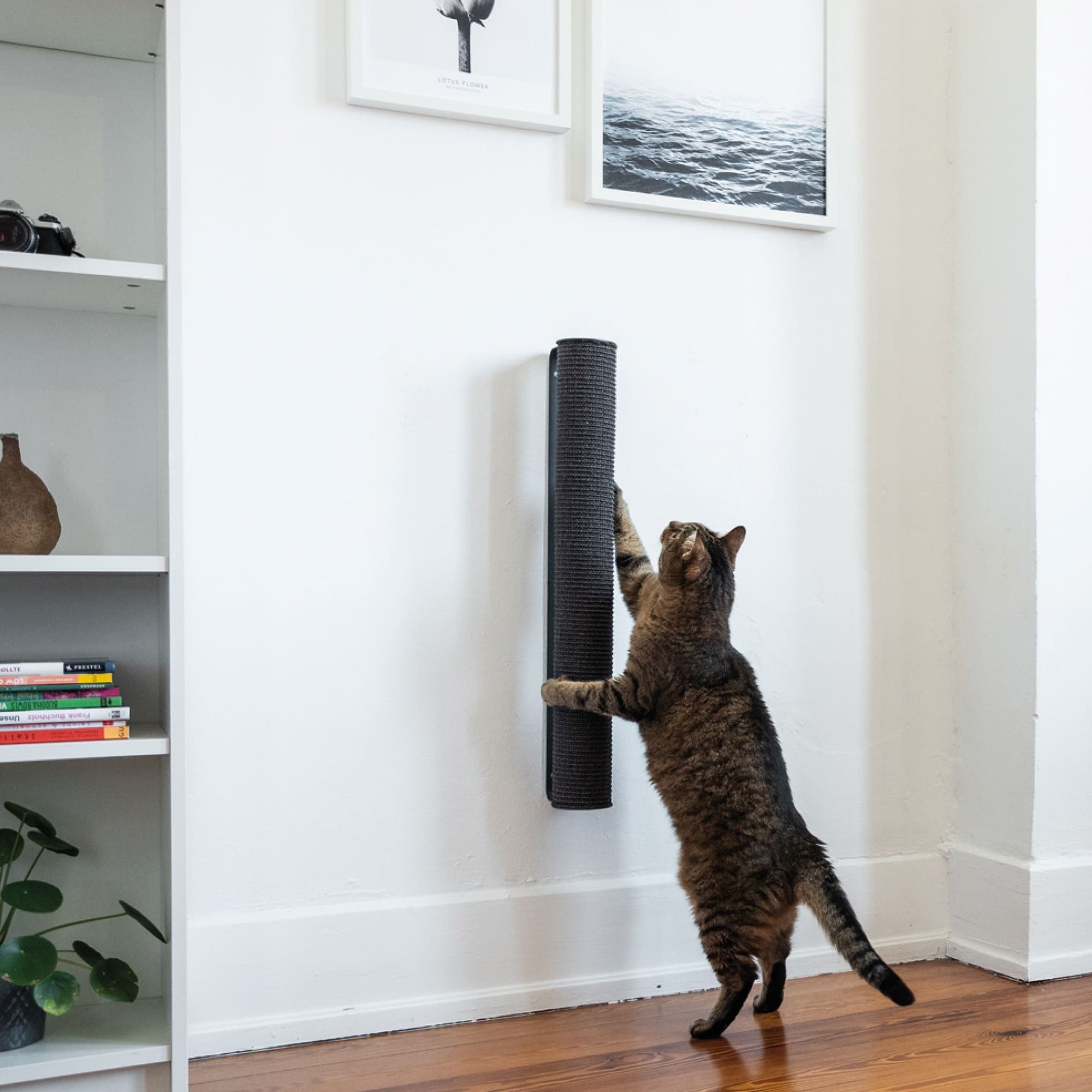 LucyBalu Kratzsäule CATWALK Kratzstamm, (für Katzen, zur Krallenpflege), Kratzstamm austauschbar