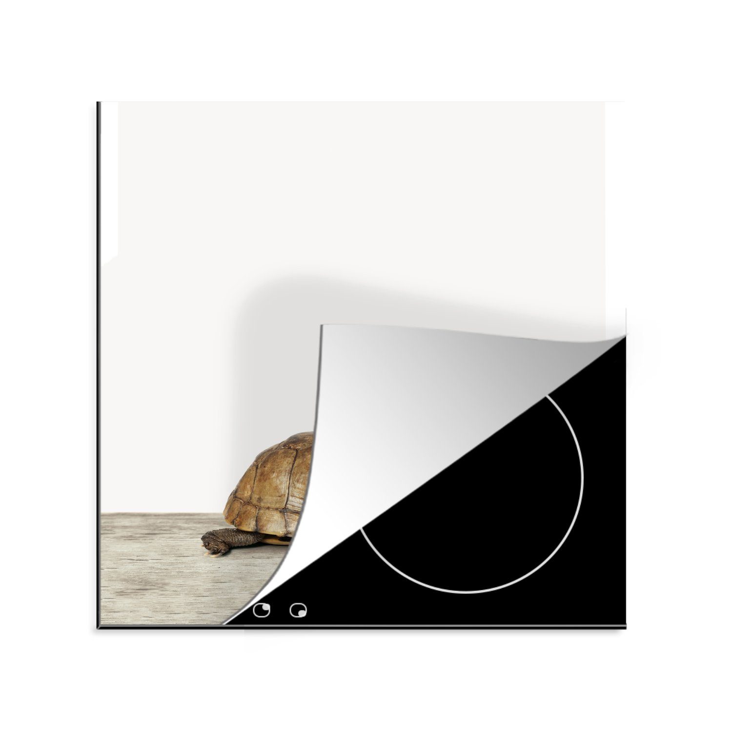 MuchoWow Herdblende-/Abdeckplatte Tiere - Schildkröte - Weiß, Vinyl, (1 tlg), 78x78 cm, Ceranfeldabdeckung, Arbeitsplatte für küche
