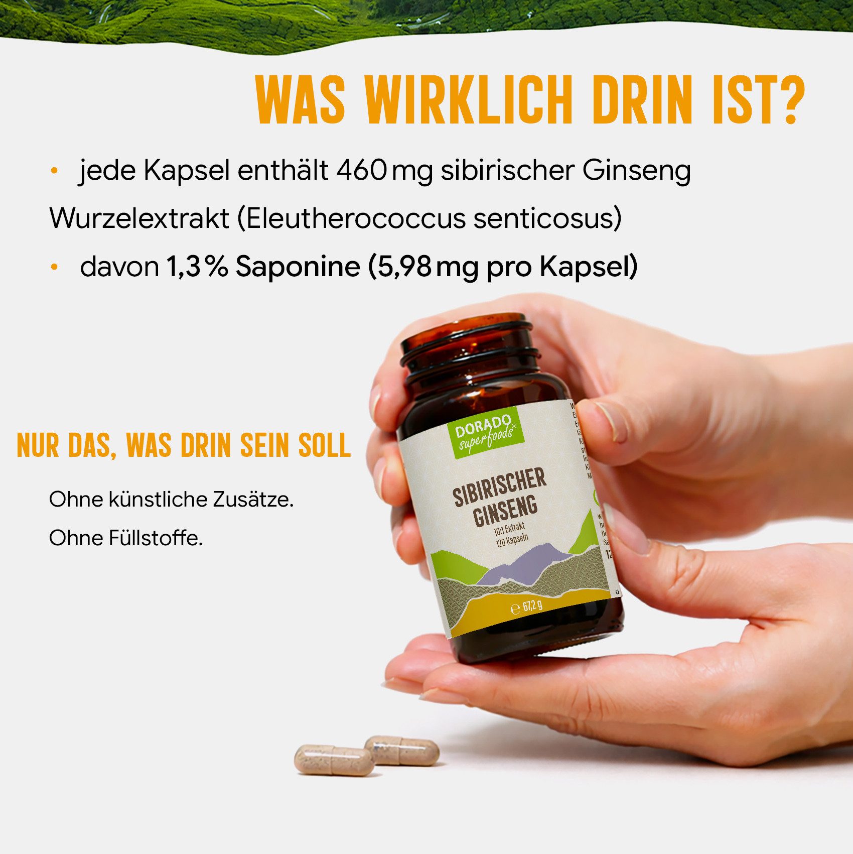 Dorado Superfoods Sibirischer Ginseng Kapseln – 460 mg Wurzelextrakt, 120 Stück Kapseln, 120 St., 67.2 g