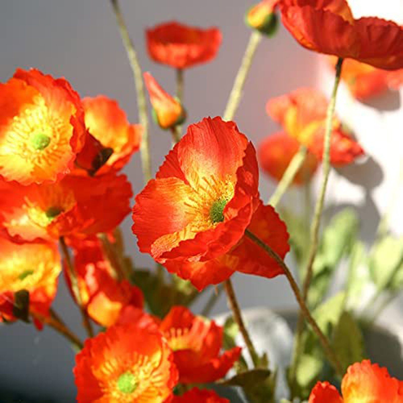 SEEZSSA, Haus Beflockung künstliche MohnSeidenblumen Für Pflanzen Kunstzweig lang Künstlicher Mohnblumen-Zweigmit 4 Blütenköpfen Blumenschmuck,60cm Kunststoff, Orange-gelb
