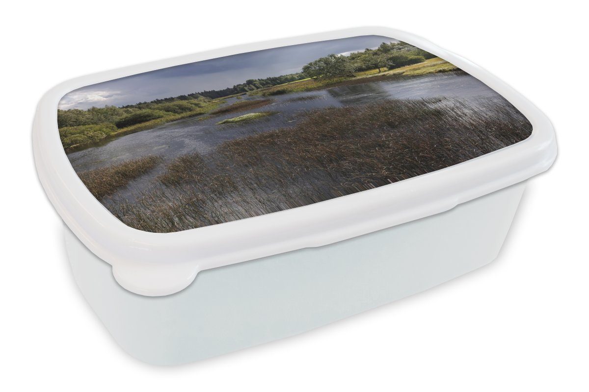 MuchoWow Lunchbox Die Flusslandschaft im Store-Mose-Nationalpark in Schweden, Kunststoff, (2-tlg), Brotbox für Kinder und Erwachsene, Brotdose, für Jungs und Mädchen weiß