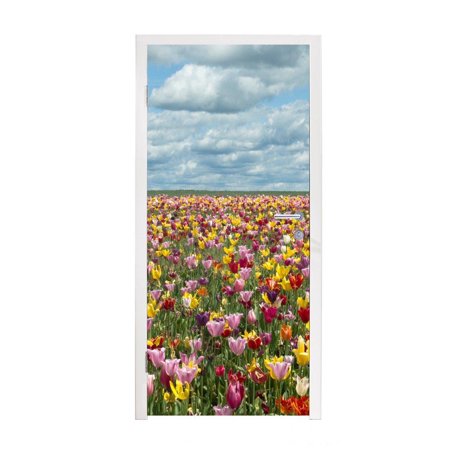 bedruckt, (1 Tulpen MuchoWow Türtapete - Wolken, Türaufkleber, für cm Farben St), Tür, 75x205 Matt, Fototapete -